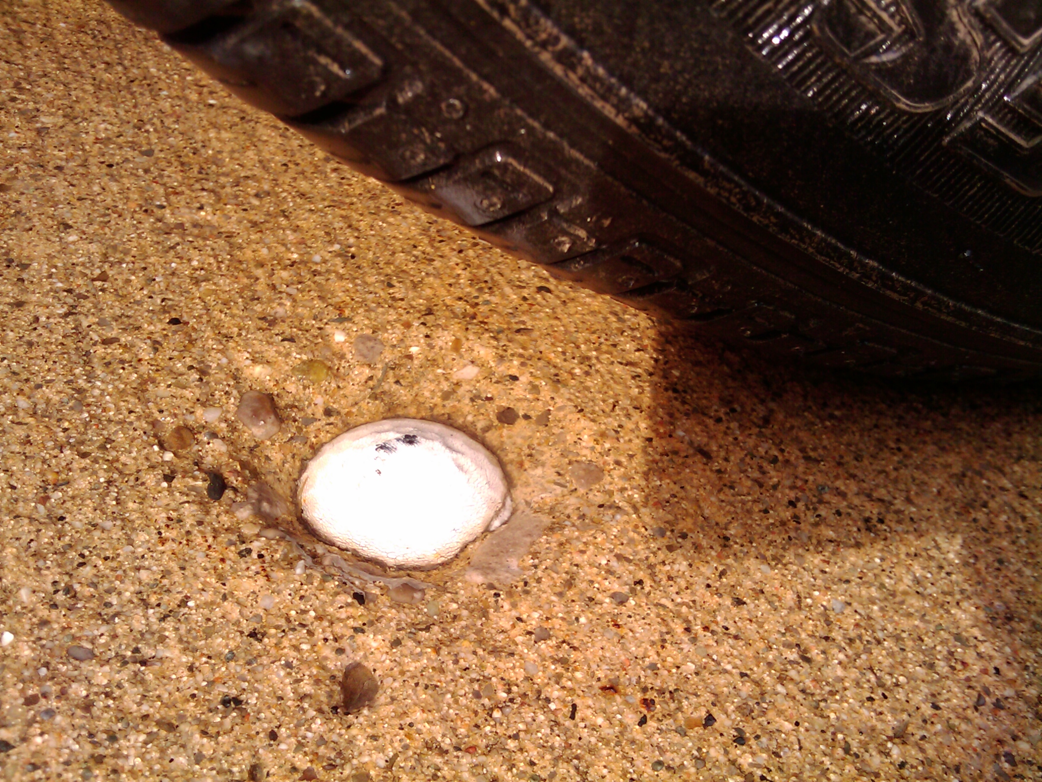 The driveway next to my sister's condo was poured with a golf ball in the concrete.