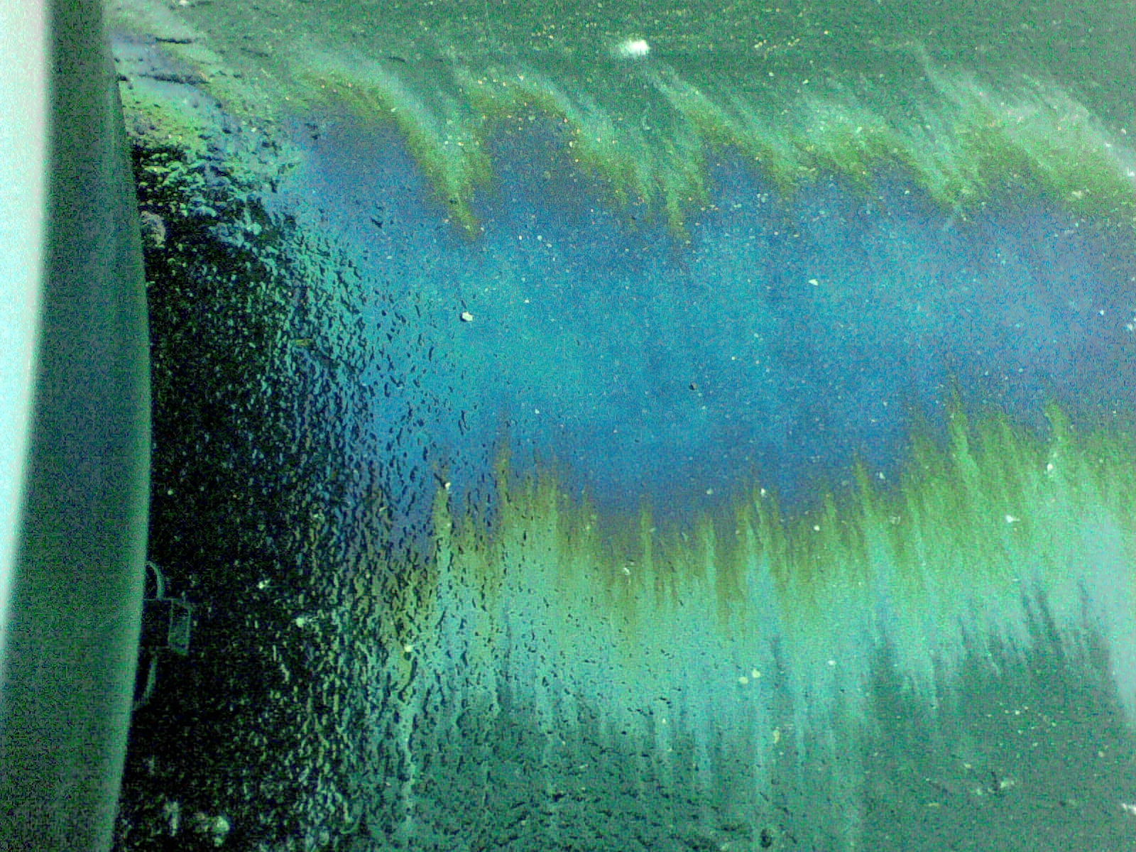 I do not like seeing oil slicks like this in a parking lot. This is from the snow plow / salt spreading people.
