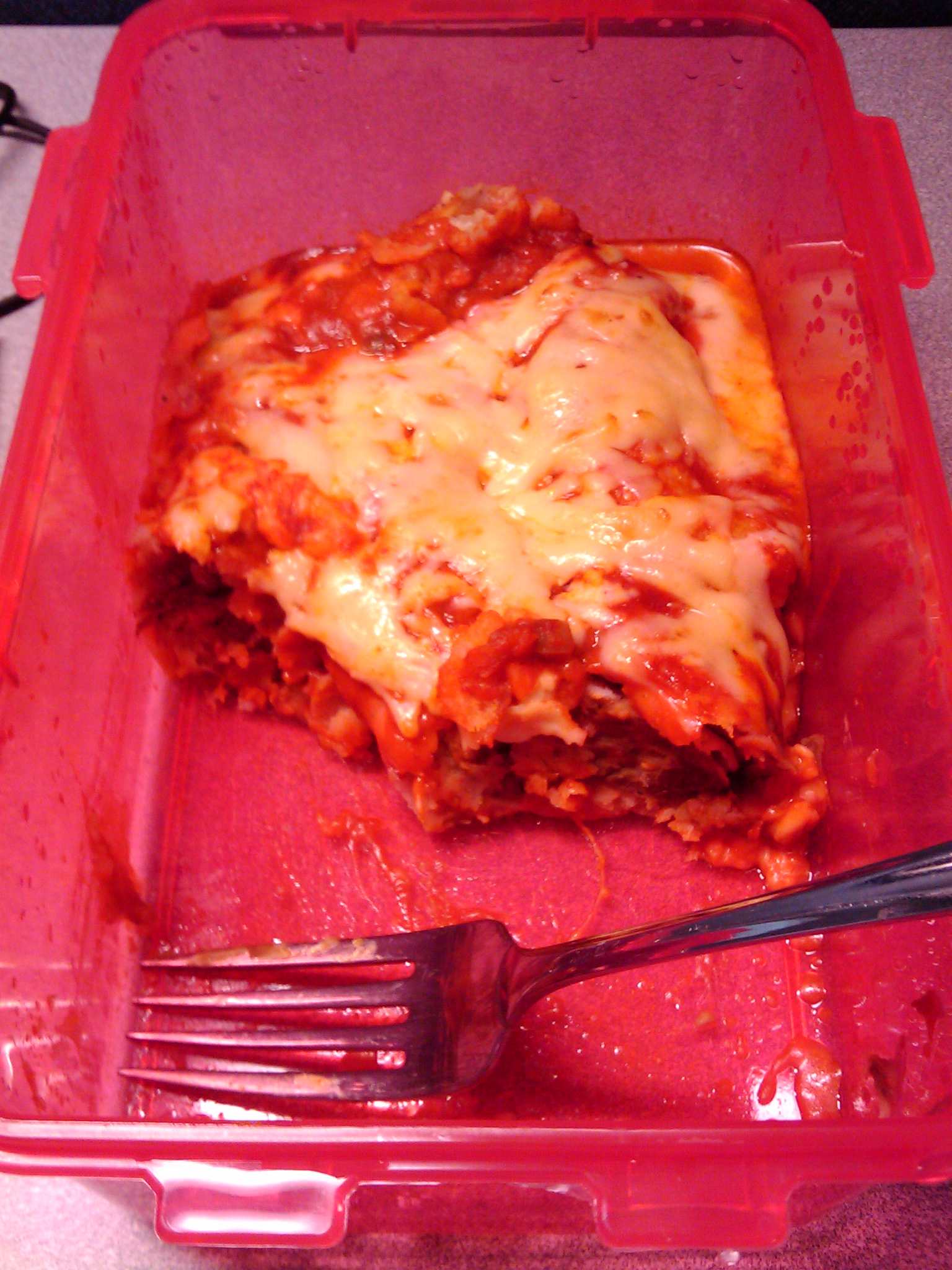 Enchiladas which I am eating for lunch, made by Danielle the night before.