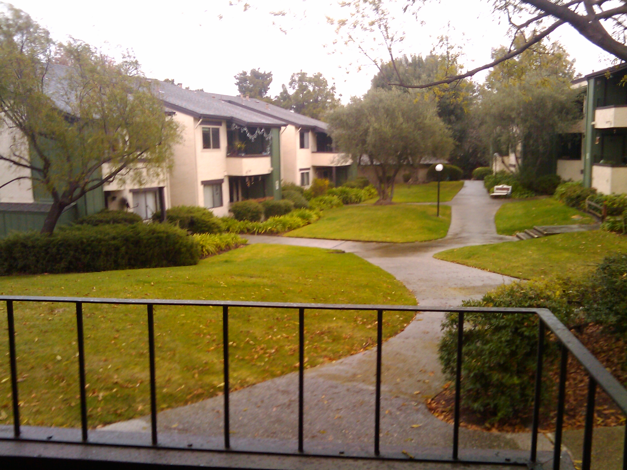 Looking out of Jeff's porch at the rather nice California weather in February.