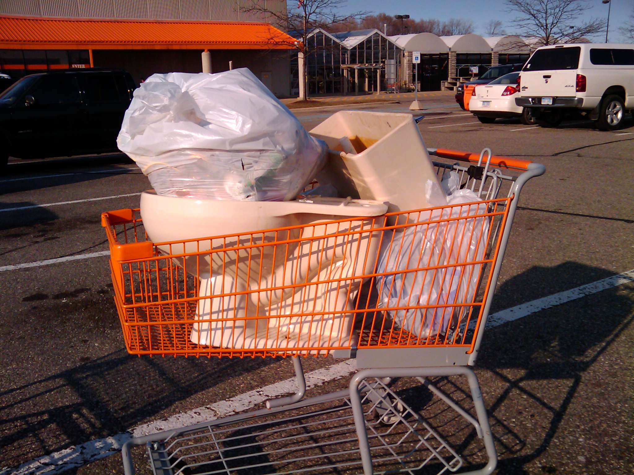 It takes a very inconsiderate person to dispose of bags of trash and a used toilet in a shopping cart in the parking lot of Home Depot.