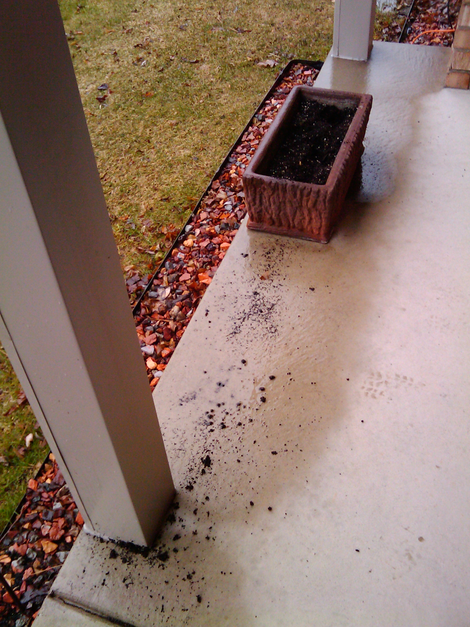 Someone, possibly the lawn care people, removed the old plant roots and turned the soil in my planters. In the process some soil was spilled on the porch.