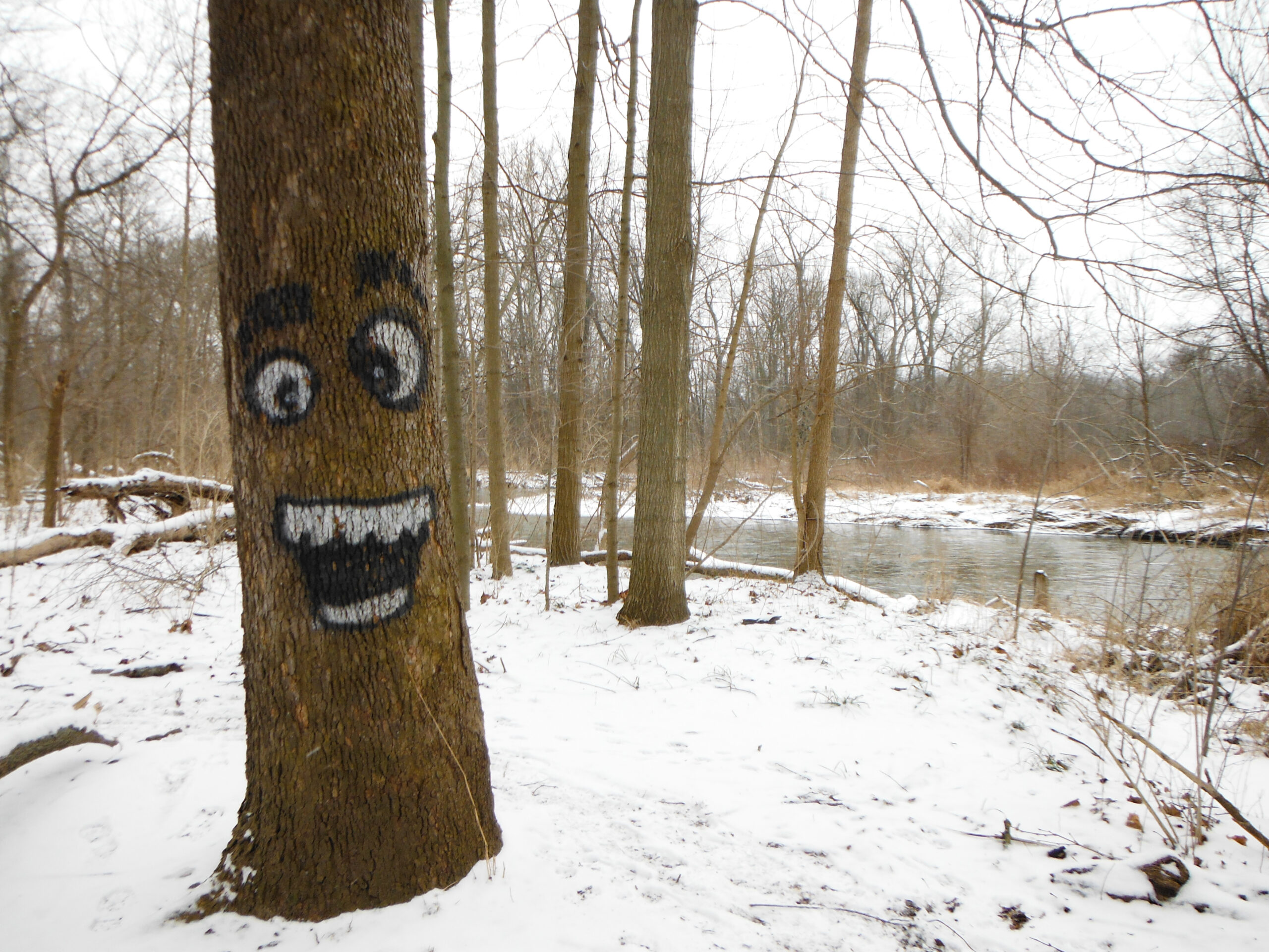 Rather cute graffiti along the Clinton River in Holland Ponds.