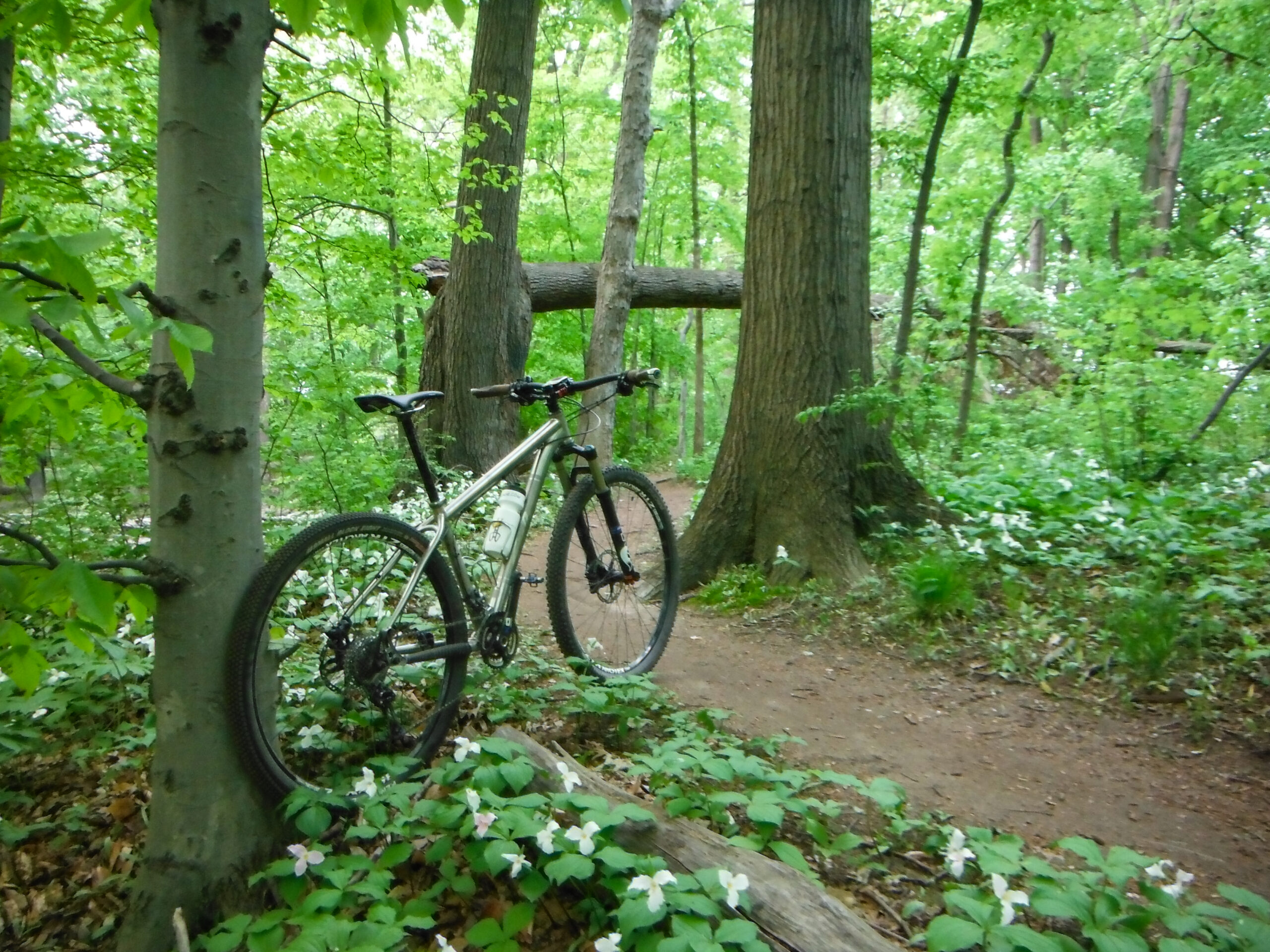 Salsa El Mariachi Ti along the trillium-lined single track in Clinton River Park.