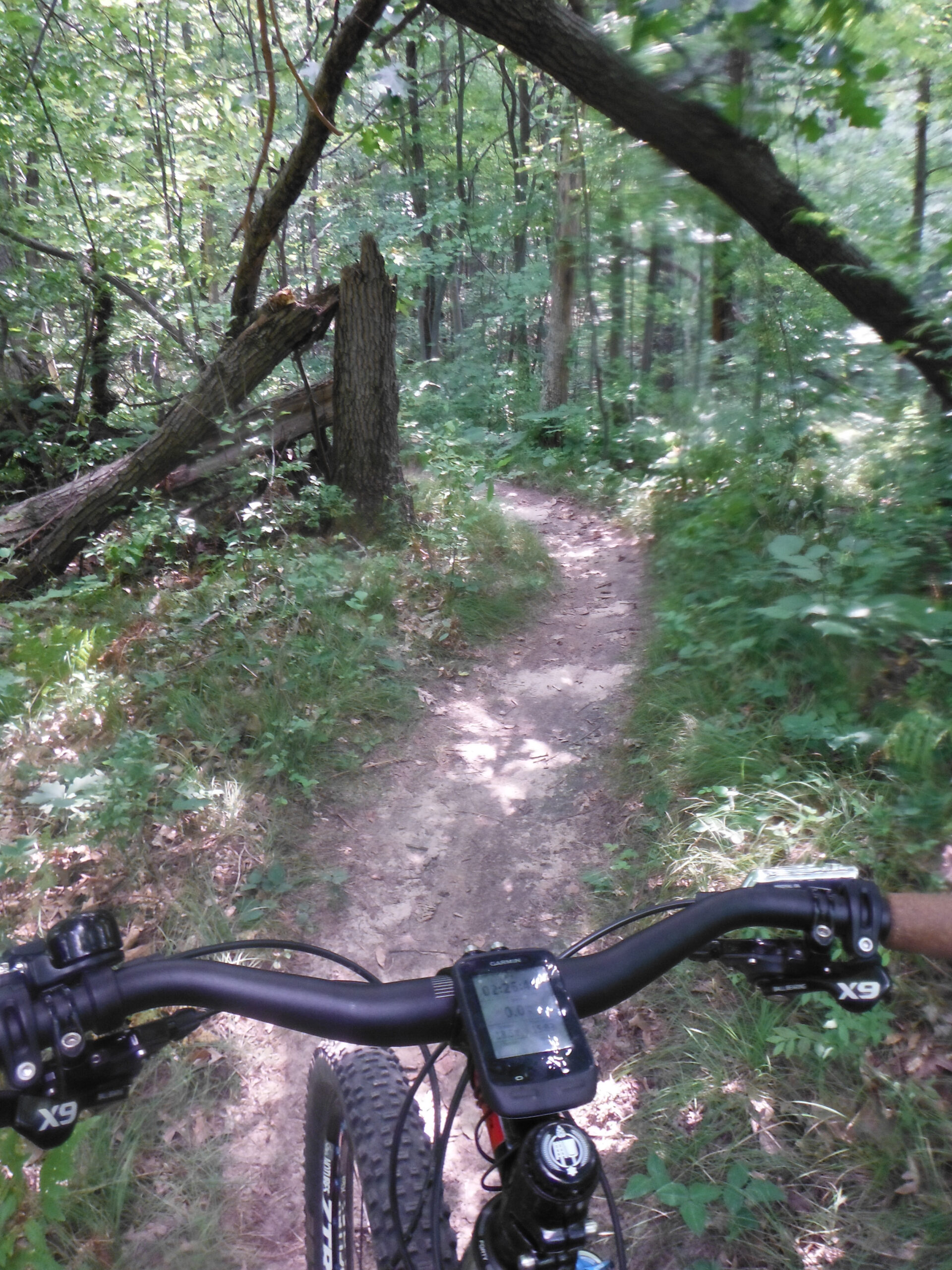 Highland State Recreation Area, somewhere along loop D. Wasn't feeling great this day.