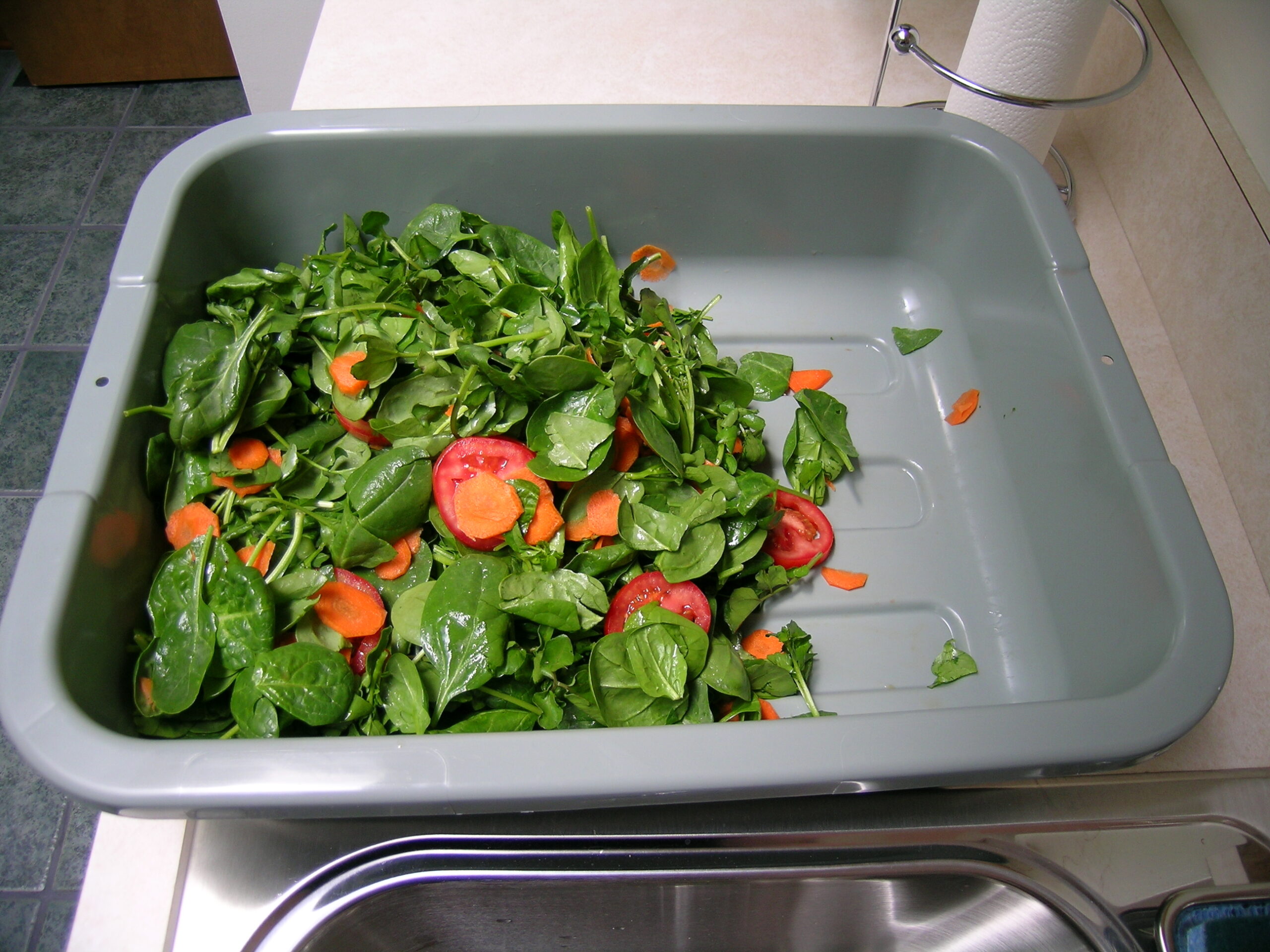 Spinach, watercress, carrot, and roma tomato salad I made for easter.