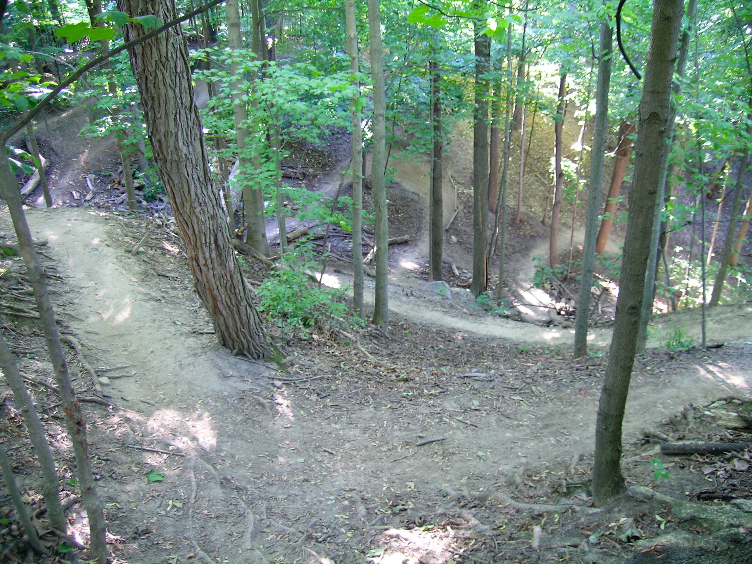 Part of the ridge trail at Bloomer, which I was too afraid to ride down. I ended up walking most of this.