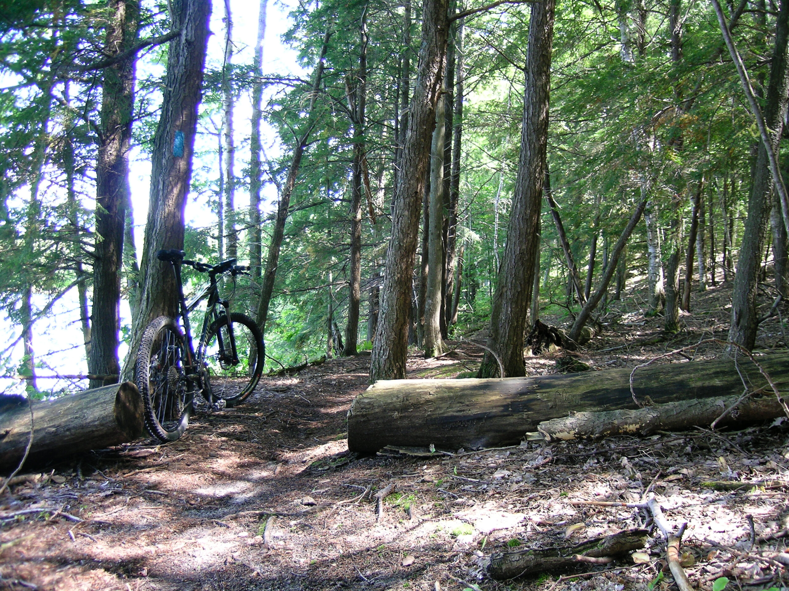 My bike on the North Country Trail in Kalkaska County, MI just northeast of the Eagle Lake public access.