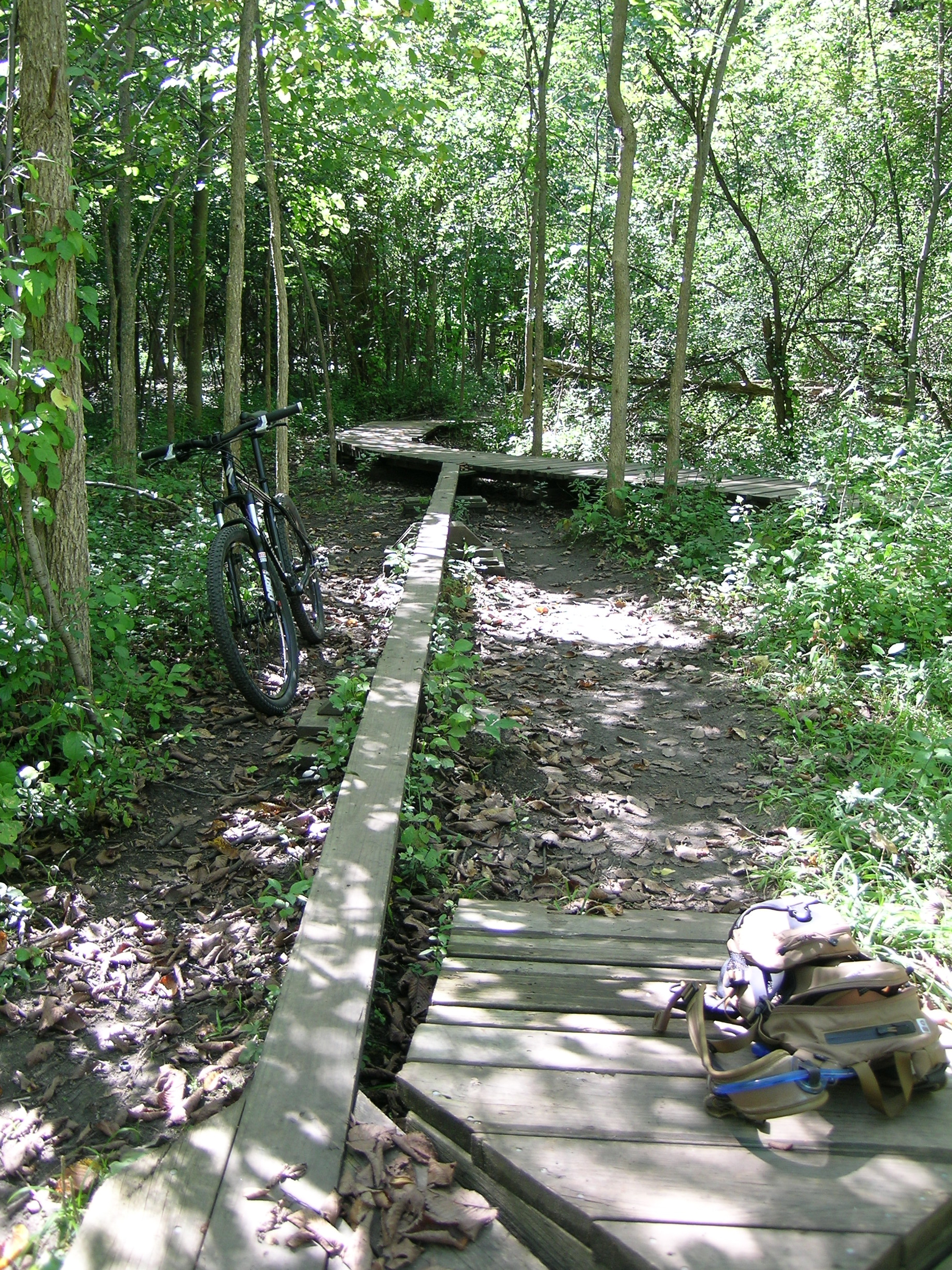 The winding bridge through The Pines at Stony Creek, with a skinny section. I was able to ride half of it in my first go.