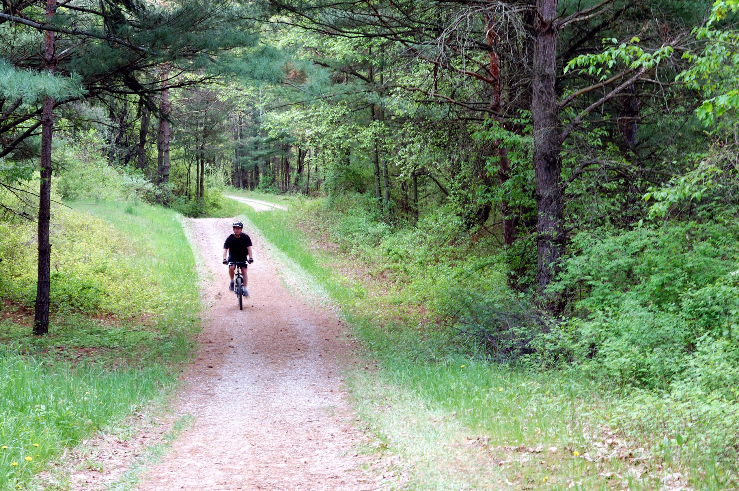 Me riding up a mountain bike trail on my bike at Stony Creek, taken by Eugene Mazur.