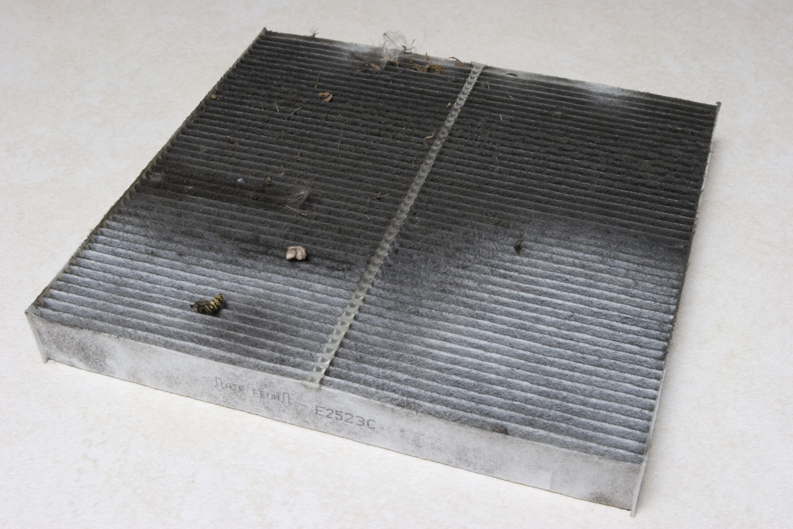 2006 Honda Civic Cabin Air Filter after 46,344 Miles