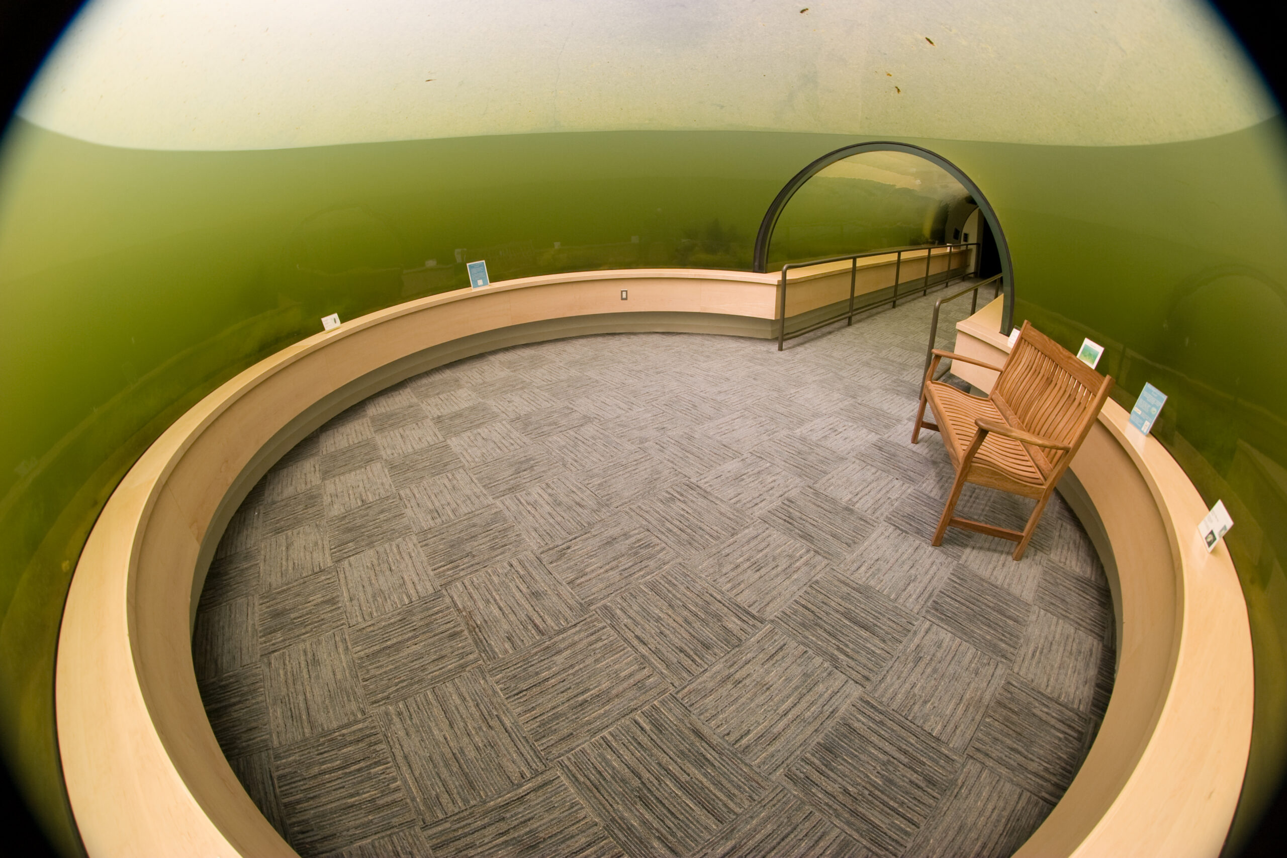 Sitting around the edge of the underwater viewing room at Indian Springs Metropark.
