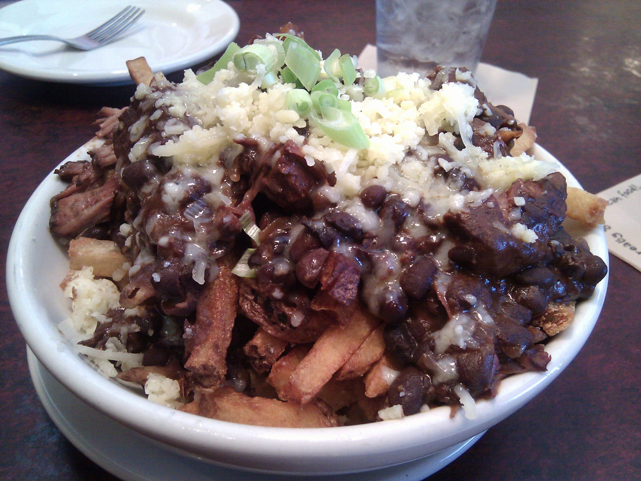 Appetizer from Zingerman's Roadhouse, super-rich, large bowl of chili cheese fries.