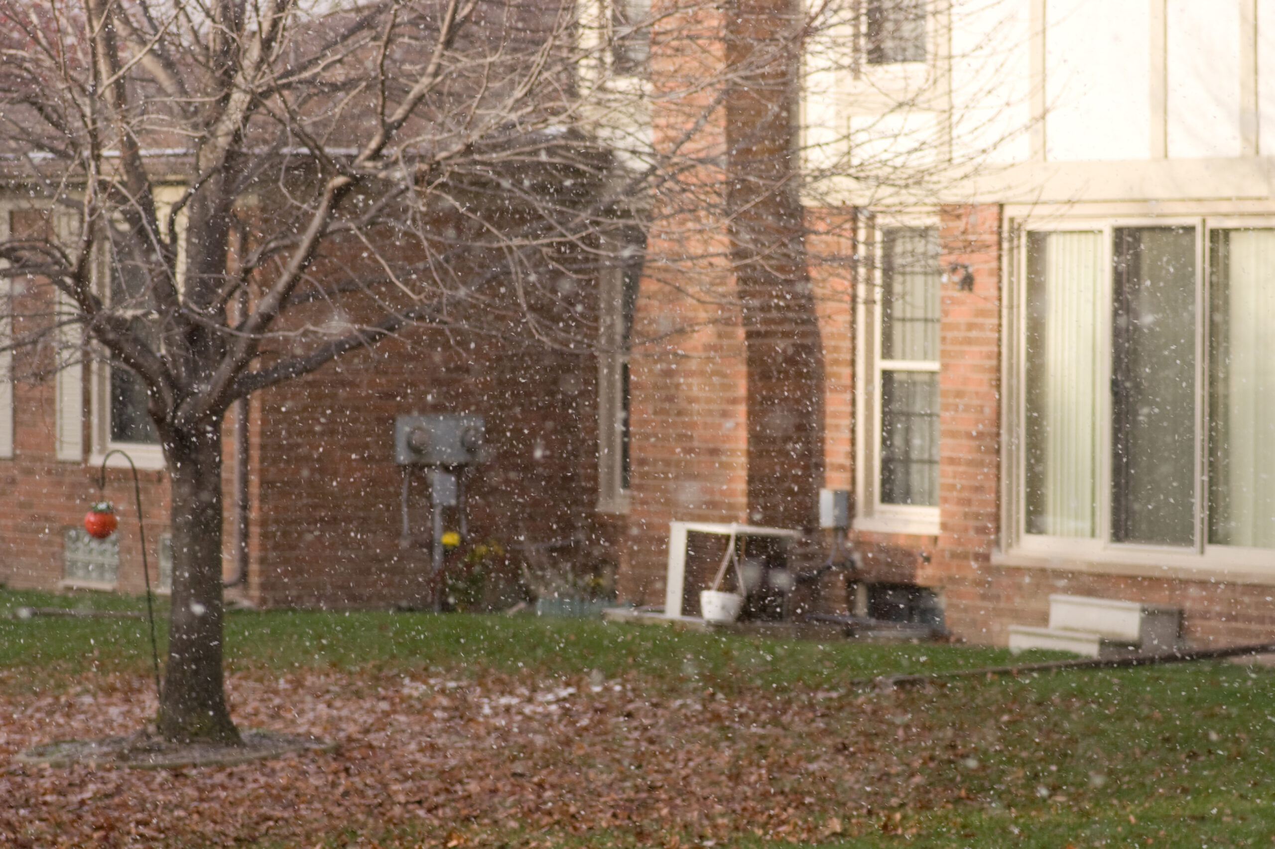 Quick photo of the first snow storm I've seen in the fall of 2008, which was happening as I returned from a trip to the UK with Danielle.