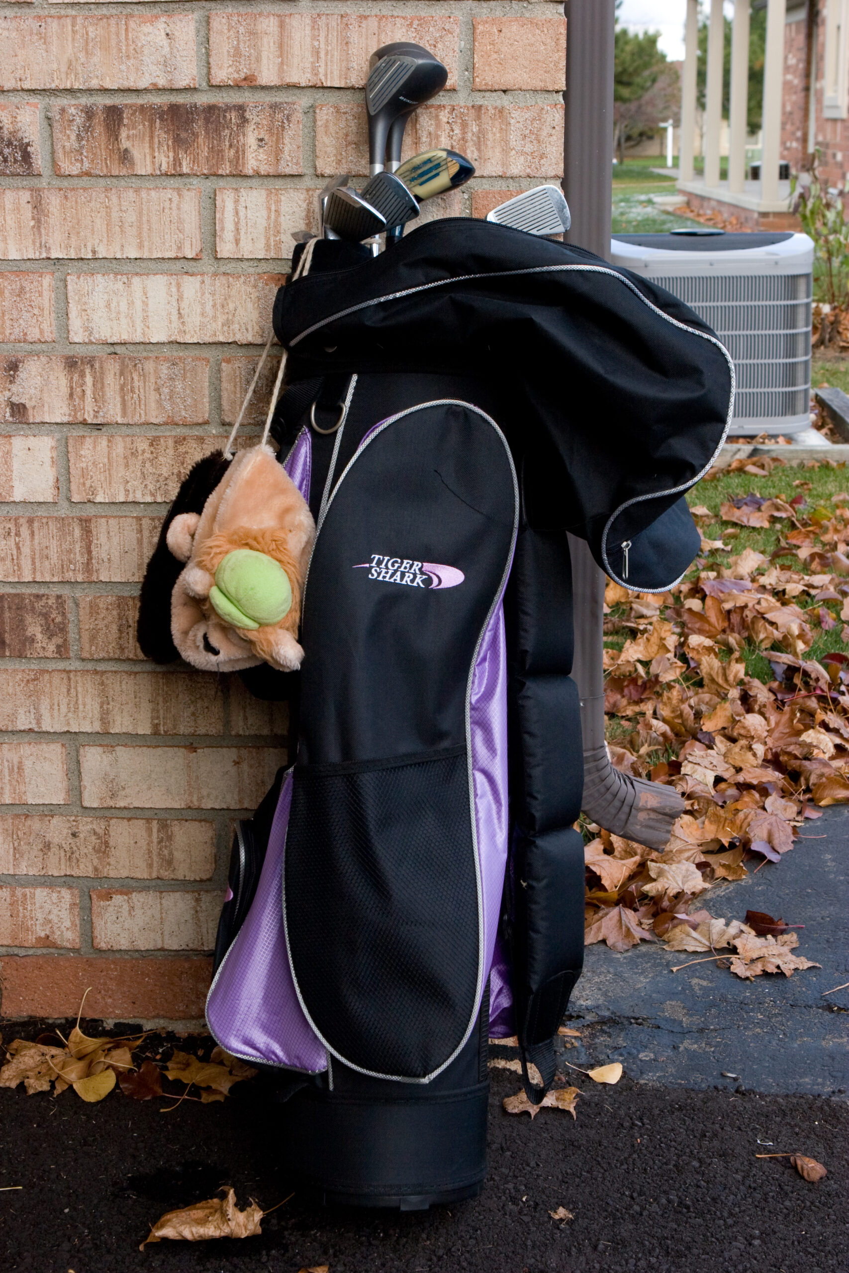 Set of women's golf clubs which I found being thrown out.