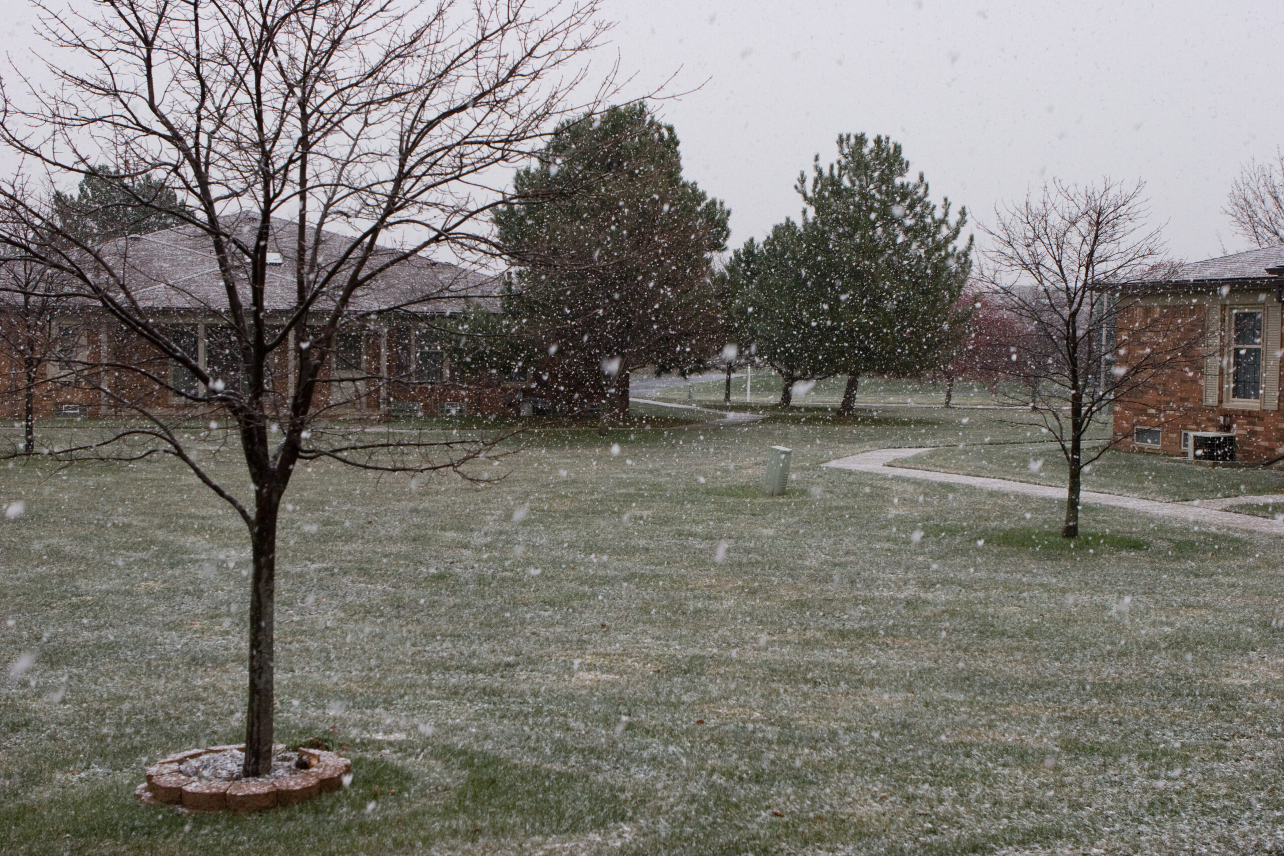 Snow falling on my last day of vacation, 24-Nov-2008. Winter is definitely coming.