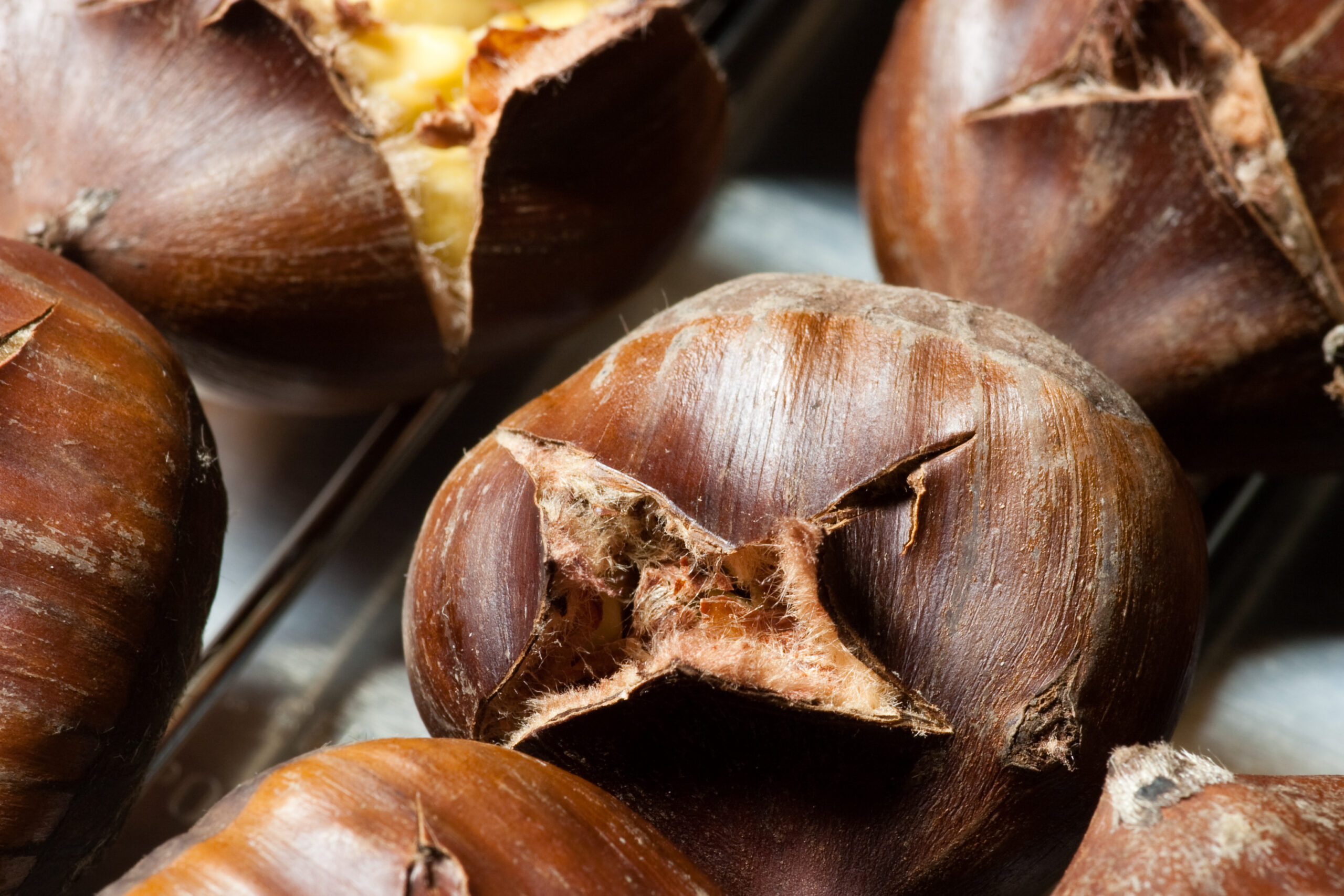 Roasted chestnuts, showing how the skin peels back after being slit cut with X pattern and roasted. 