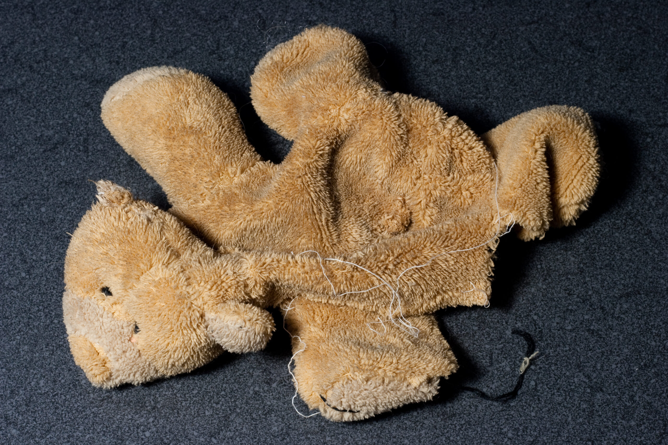 Danielle gave Roxie this stuffed bear before she left for Flordia. Roxie spent much of this week playing with it and removing the squeaker and stuffing. This is how it ended up.