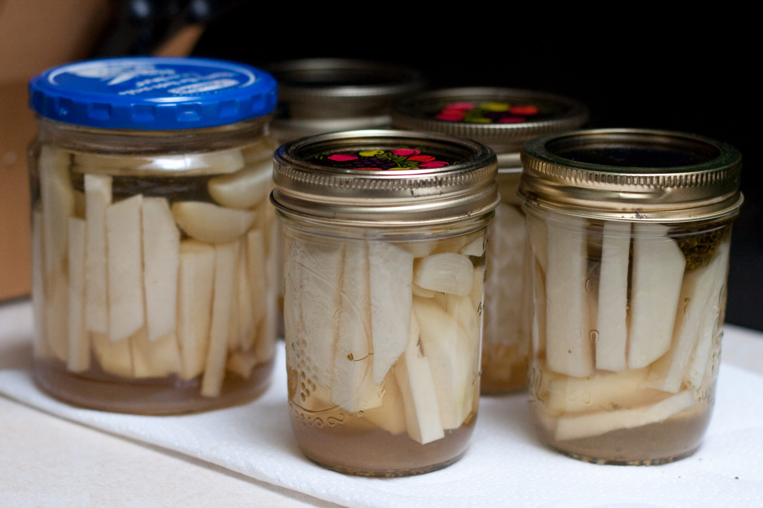 Kohlrabi pickled with vinegar, honey, salt, garlic, and dill, waiting to be put in the fridge.