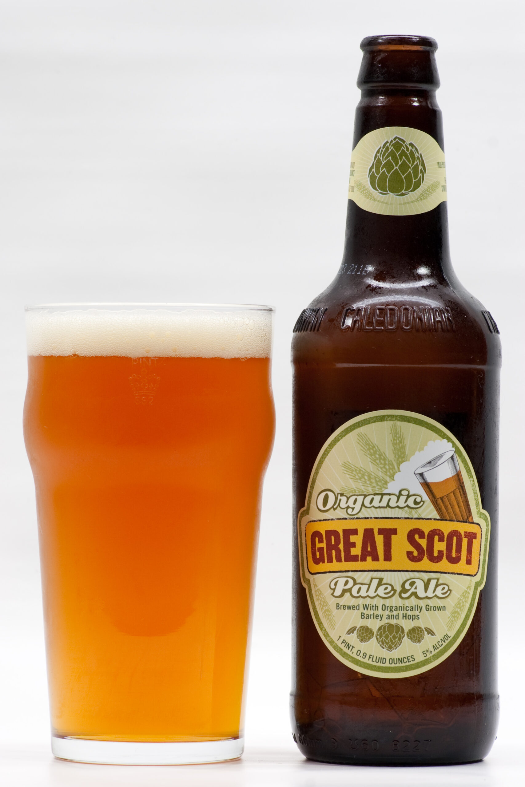 Great Scott Pale Ale in a glass. Purchased at Trader Joe's for $2.99. It's rather good, but has an interesting earthy undertone.