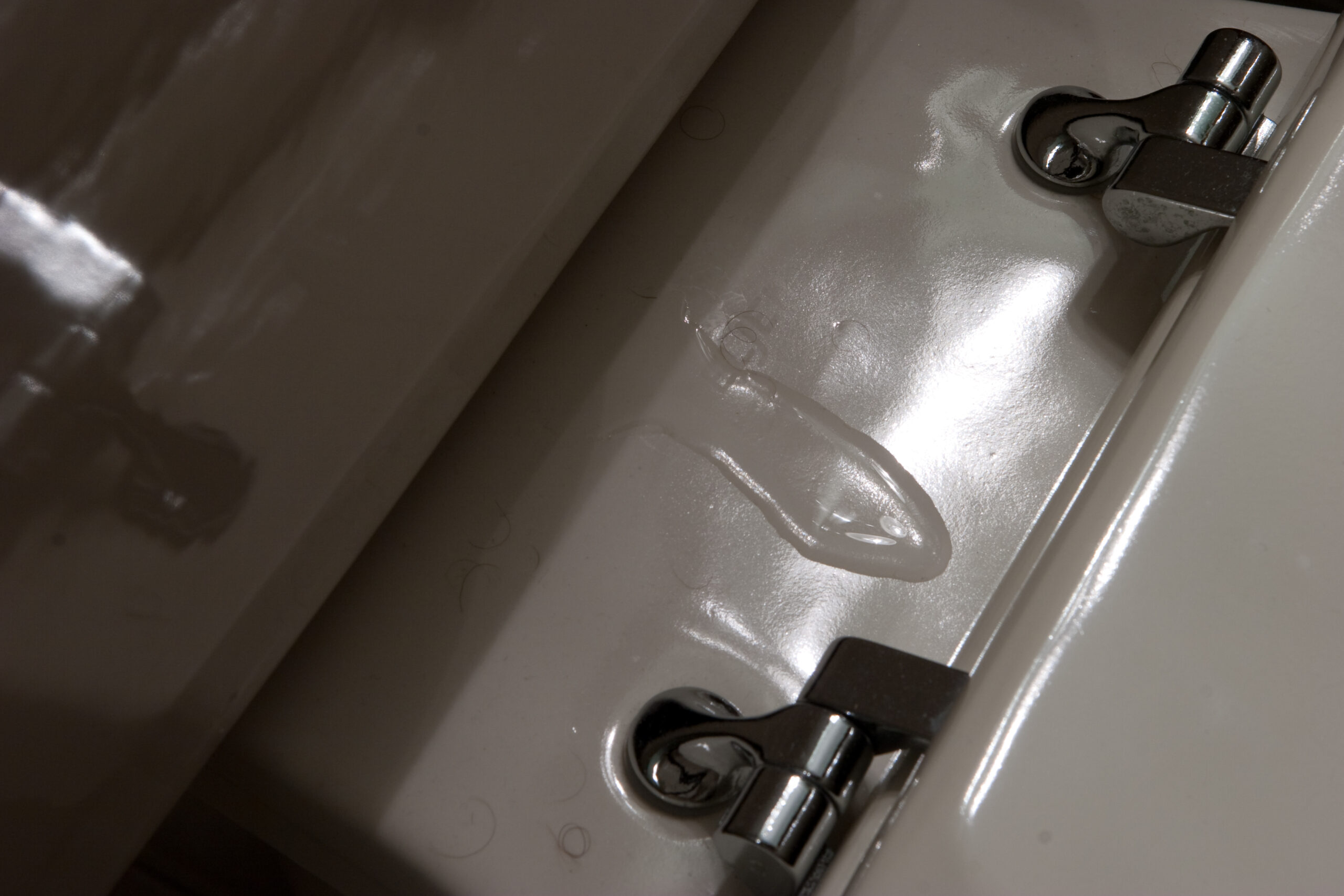 Water on the back of the toilet bowl, apparently caused by a leaky gasket between the tank and bowl.