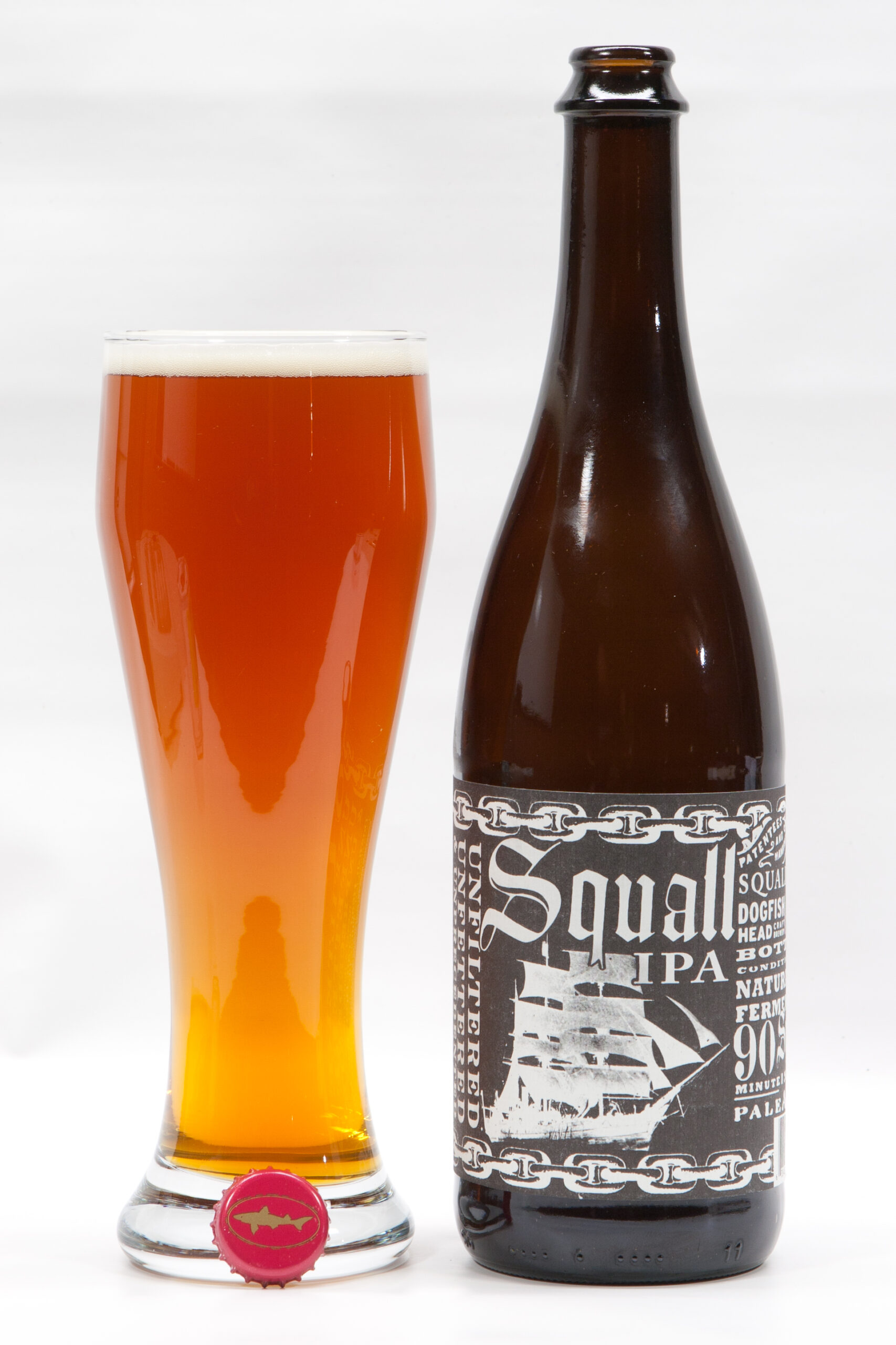 Dogfish Head's Squall IPA. A very nice beer.