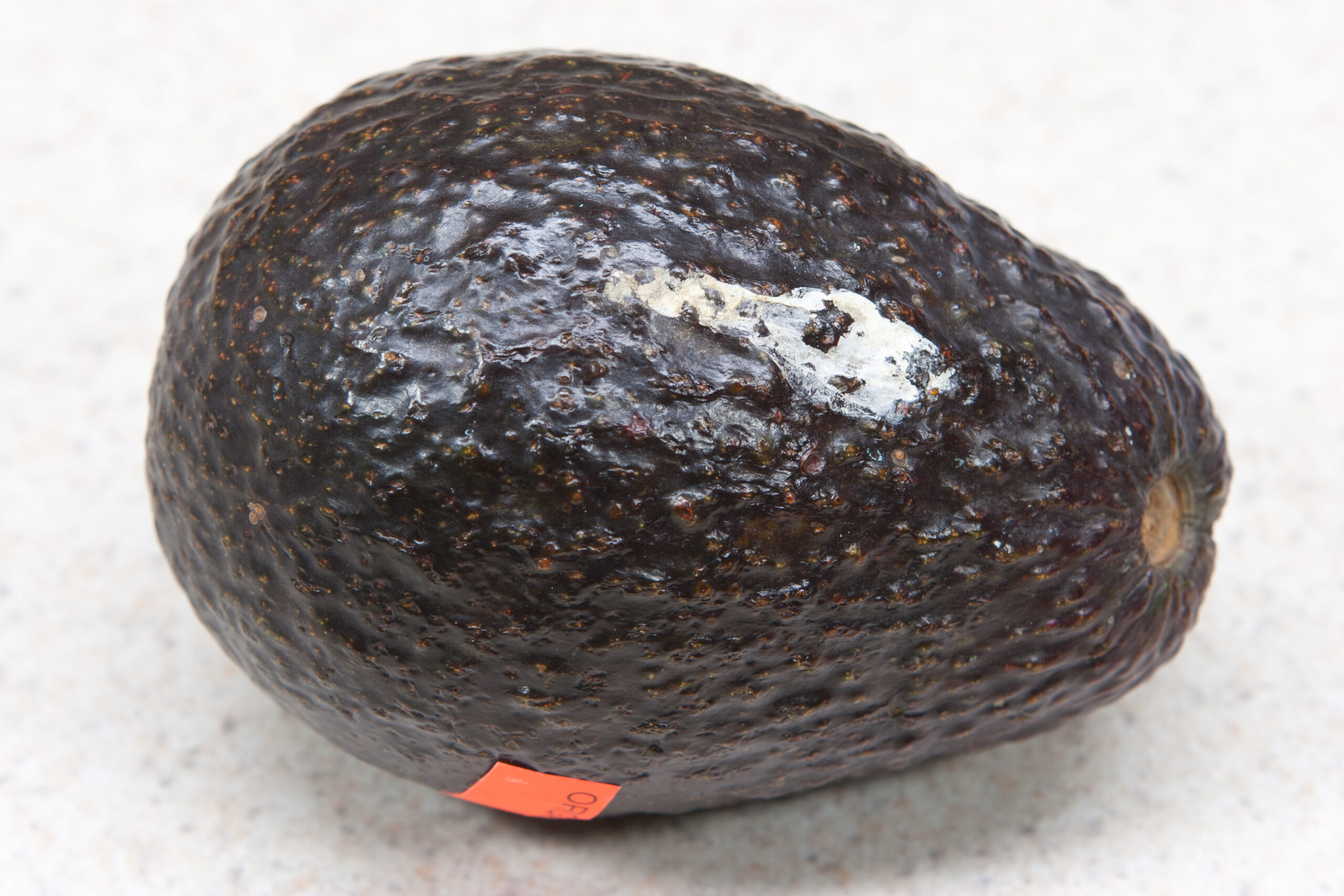 Organic avocado from Whole Foods with bird poop on it.