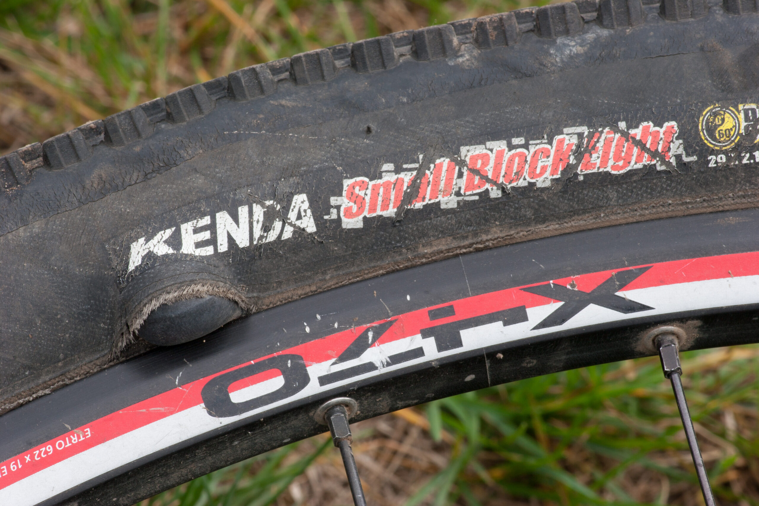 Sidewall failure on a second Kenda Small Block Eight. The sidewall tore away from the bead and the tube pushed out. This is the second of these tires (purchased at the same time) that I've had fail this way.