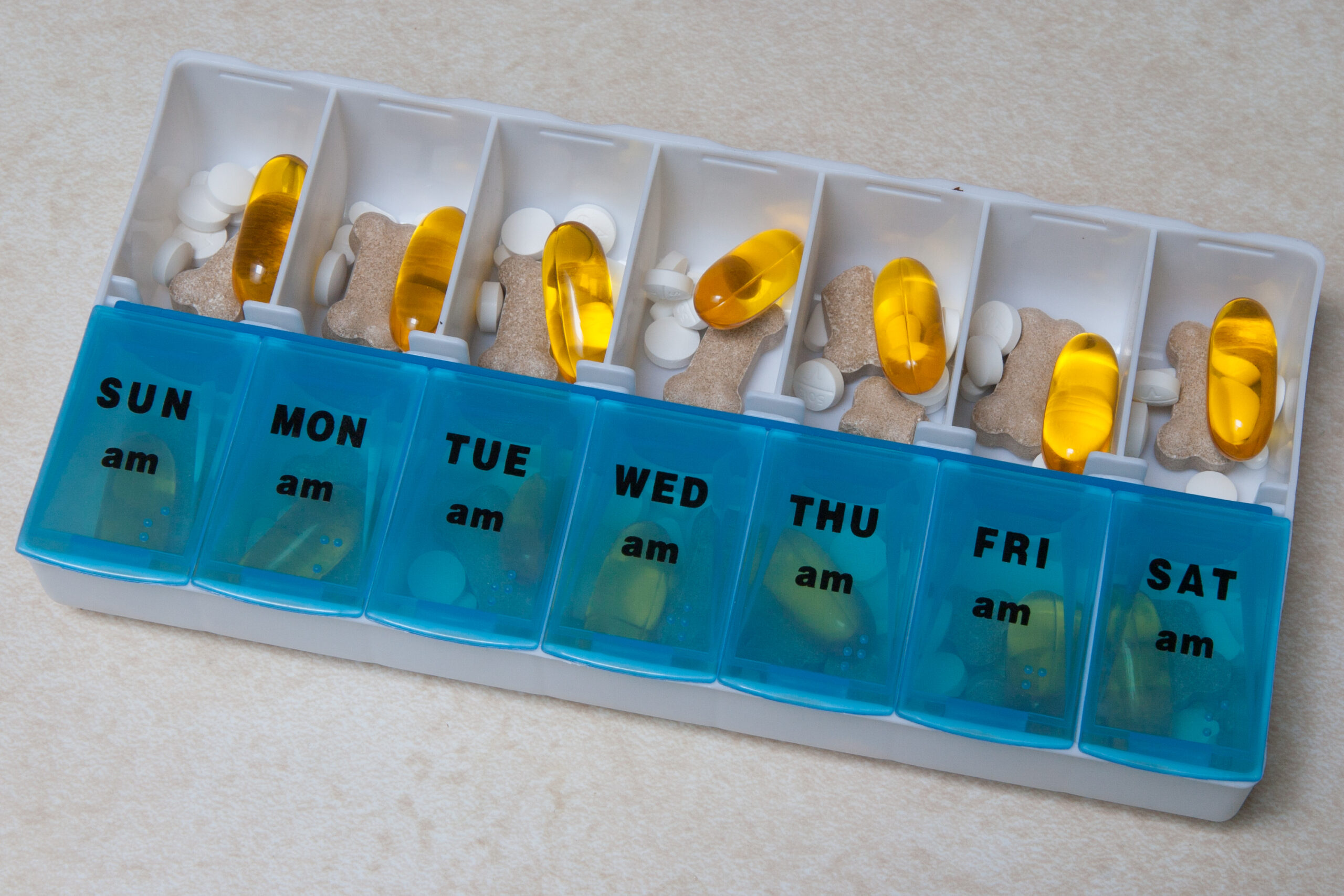 Roxie's daily pill container: Phenobarbital, Tramadol, Clemastine Fumarate, Glucosamine, and Flax Seed Oil.