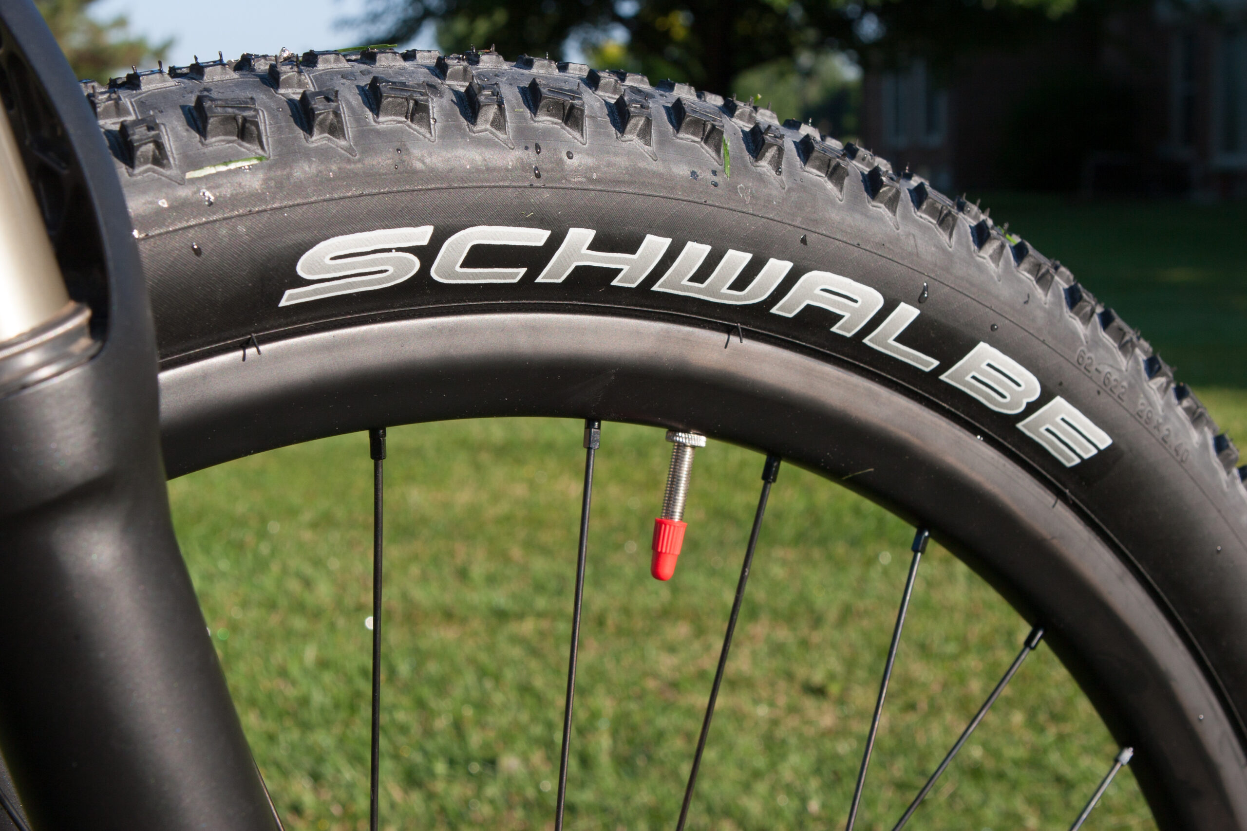 Schwalbe Racing Ralph (2.4", older tread pattern) on a Light-Bicycle 35mm hookless rim.