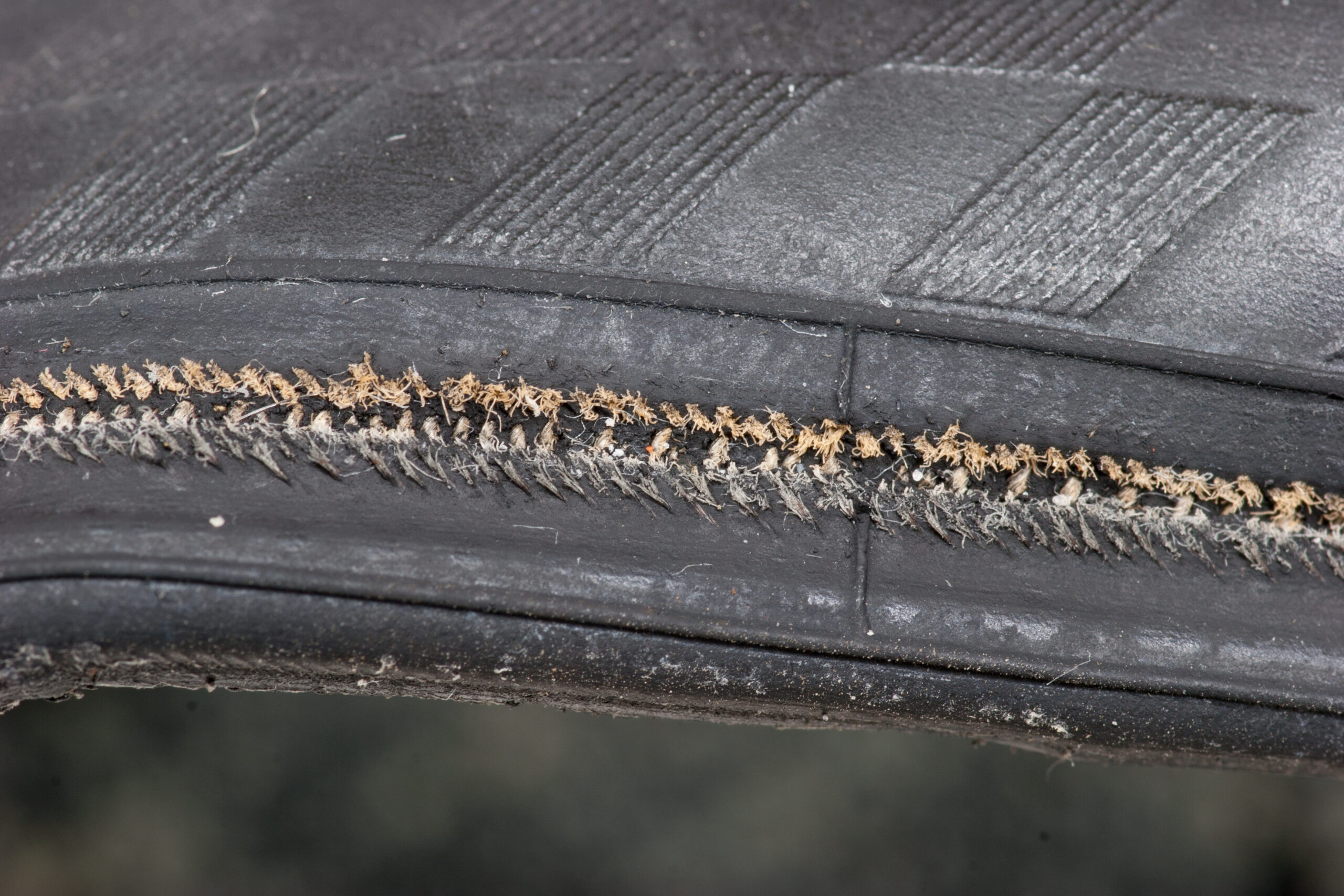 Worn / torn threads just above the bead on a Continental Race King Protection. The tire was leaking through this area.
