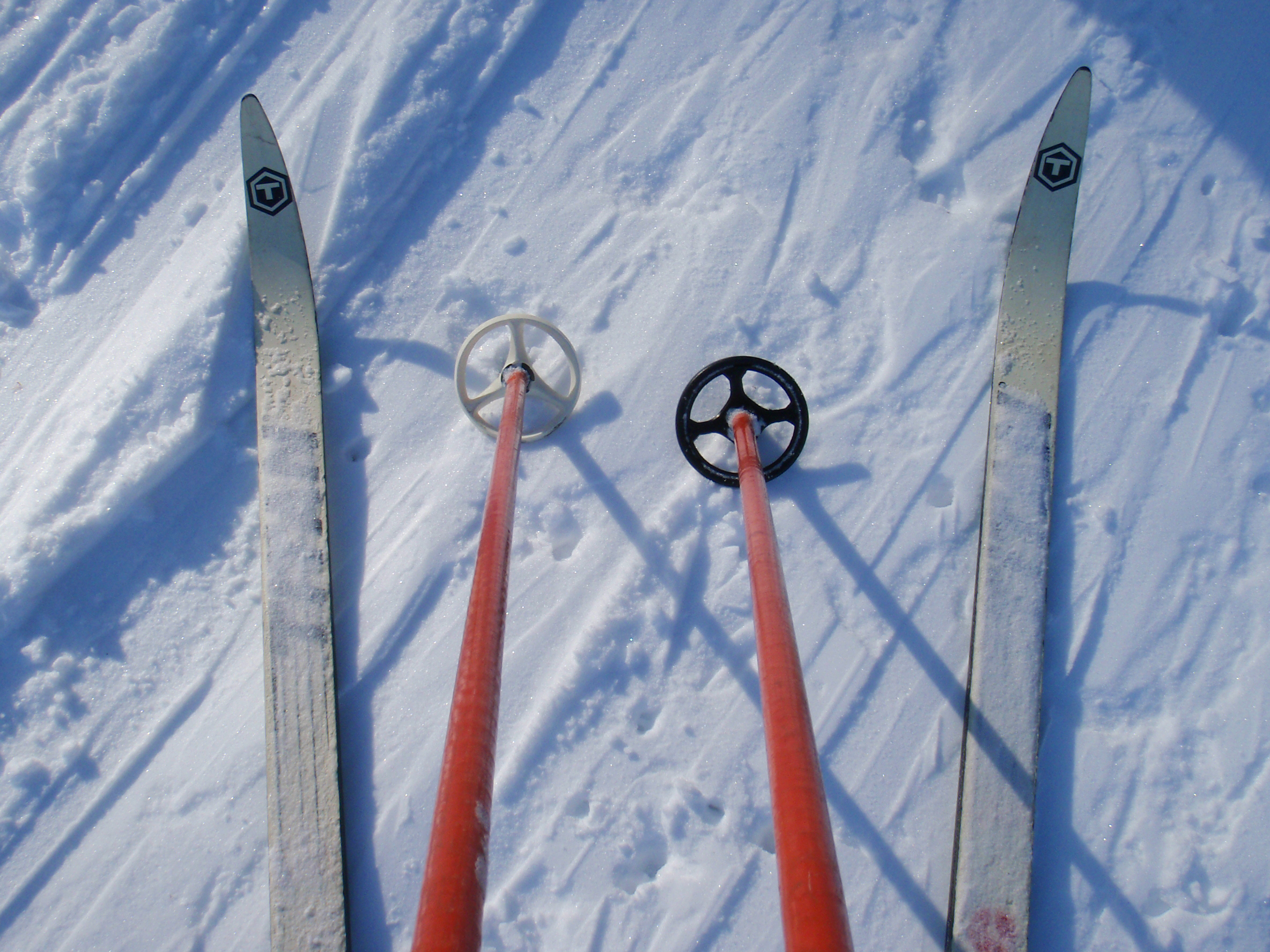 Looking down at my rented skis and poles at Stony Creek, cross country skiing for the first time since I was in fifth grade.