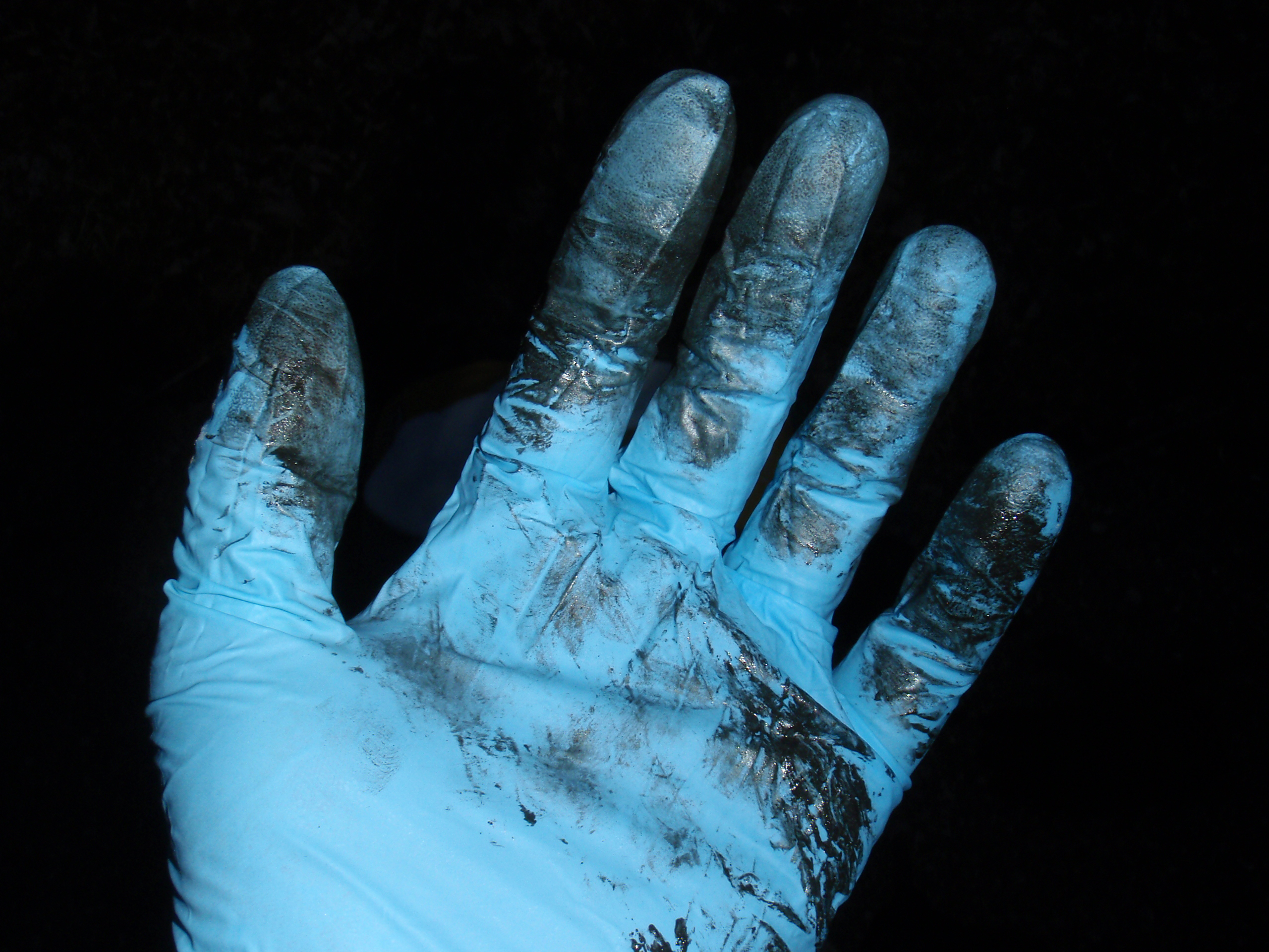 Dirty nitrile glove showing exactly why I carry them in my bag.