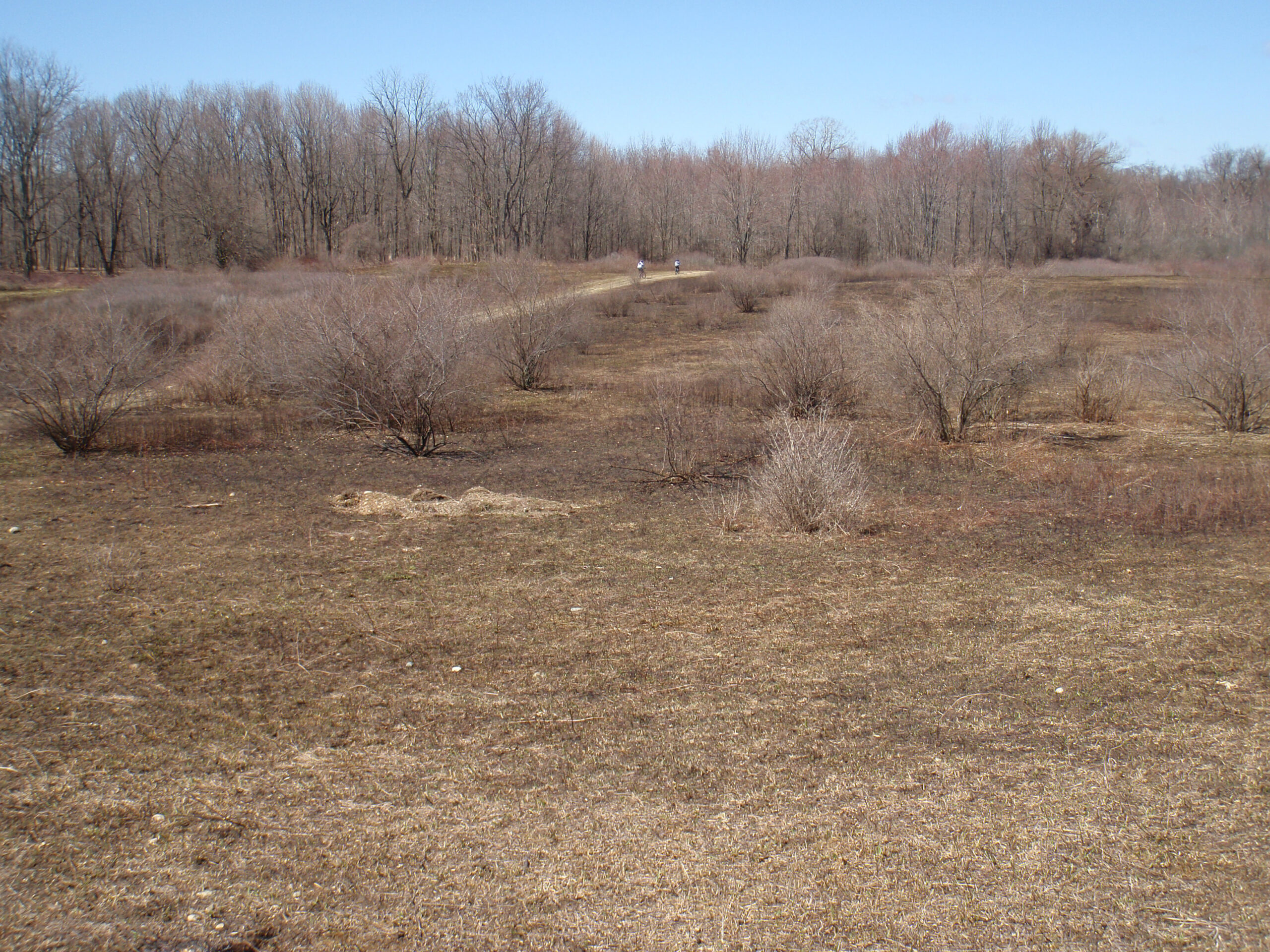 At the end of the Roller Coaster it appears that the park has done a controlled burn to clear brush.