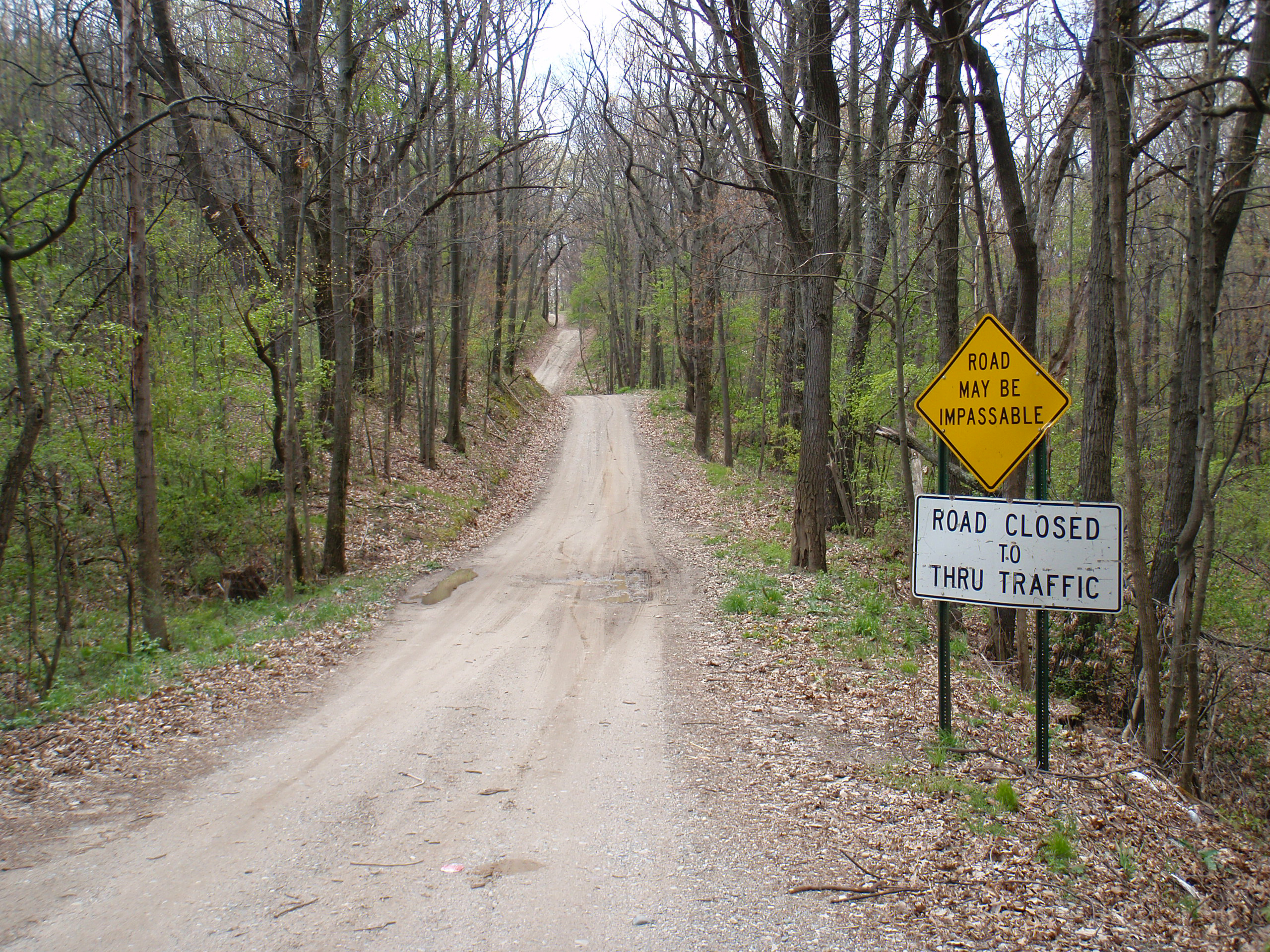 Looking west up Fox Lake Road at Honert Road before riding up and down this segment.