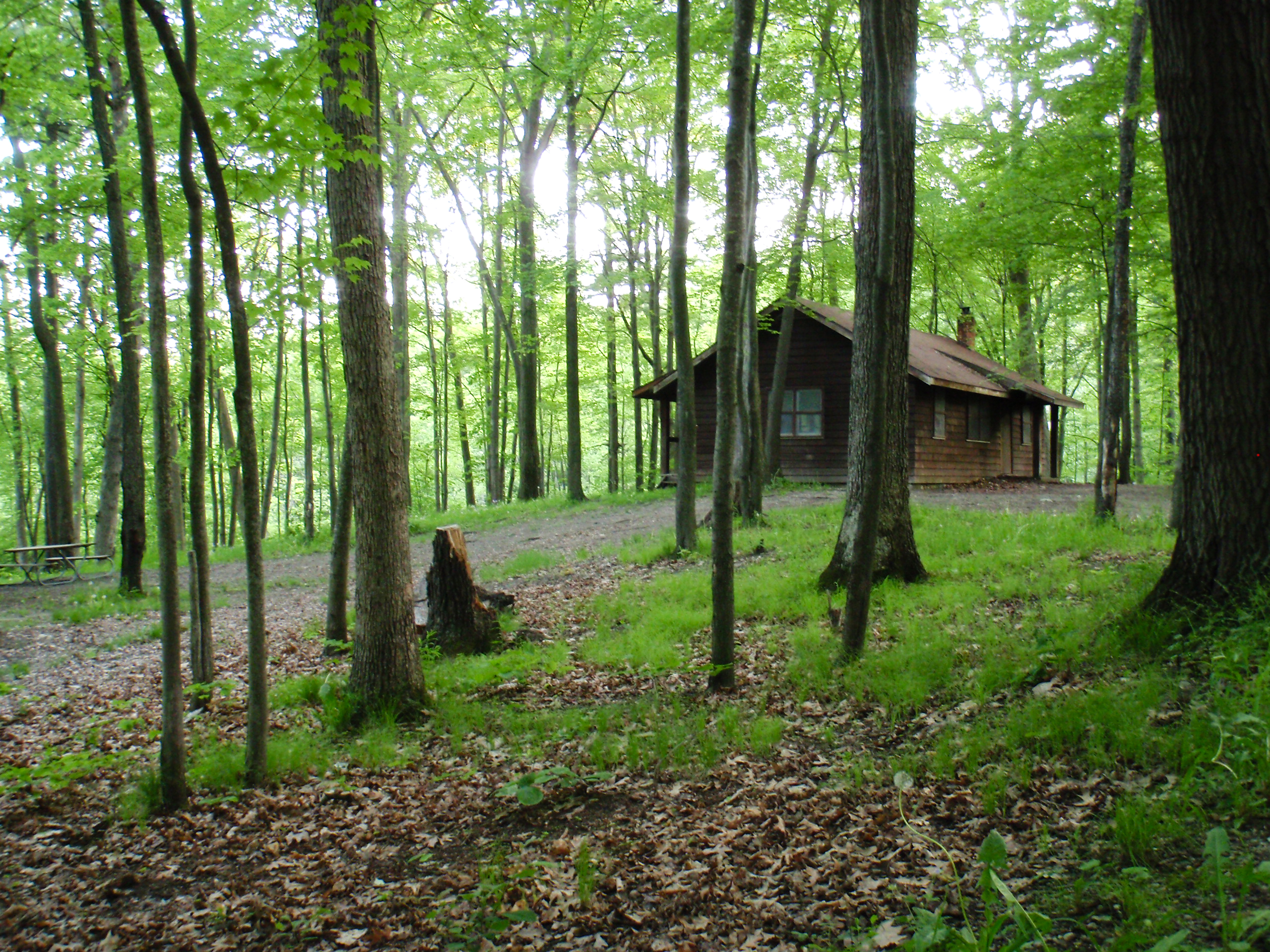 Cabin #2 at Bald Mountain State Recreation Area, North Unit. In this cabin Dr. Jack Kevorkian helped Marjorie Wantz and Sherry Miller end their lives.