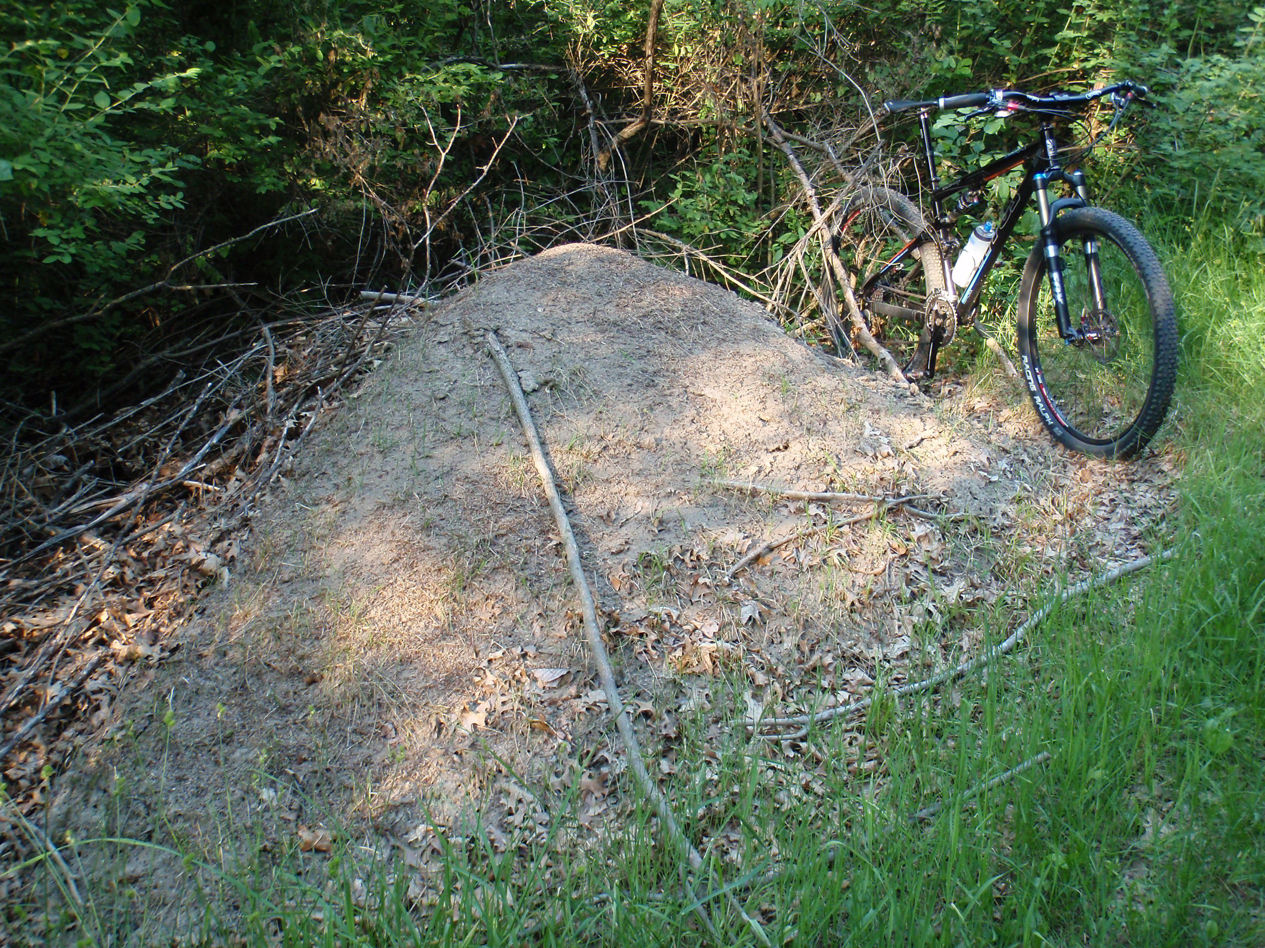 One of the many large ant hills at Bald Mountain State Recreation Area, North Unit. This is on the connector trail between #16 and #17, out to Predmore Road.