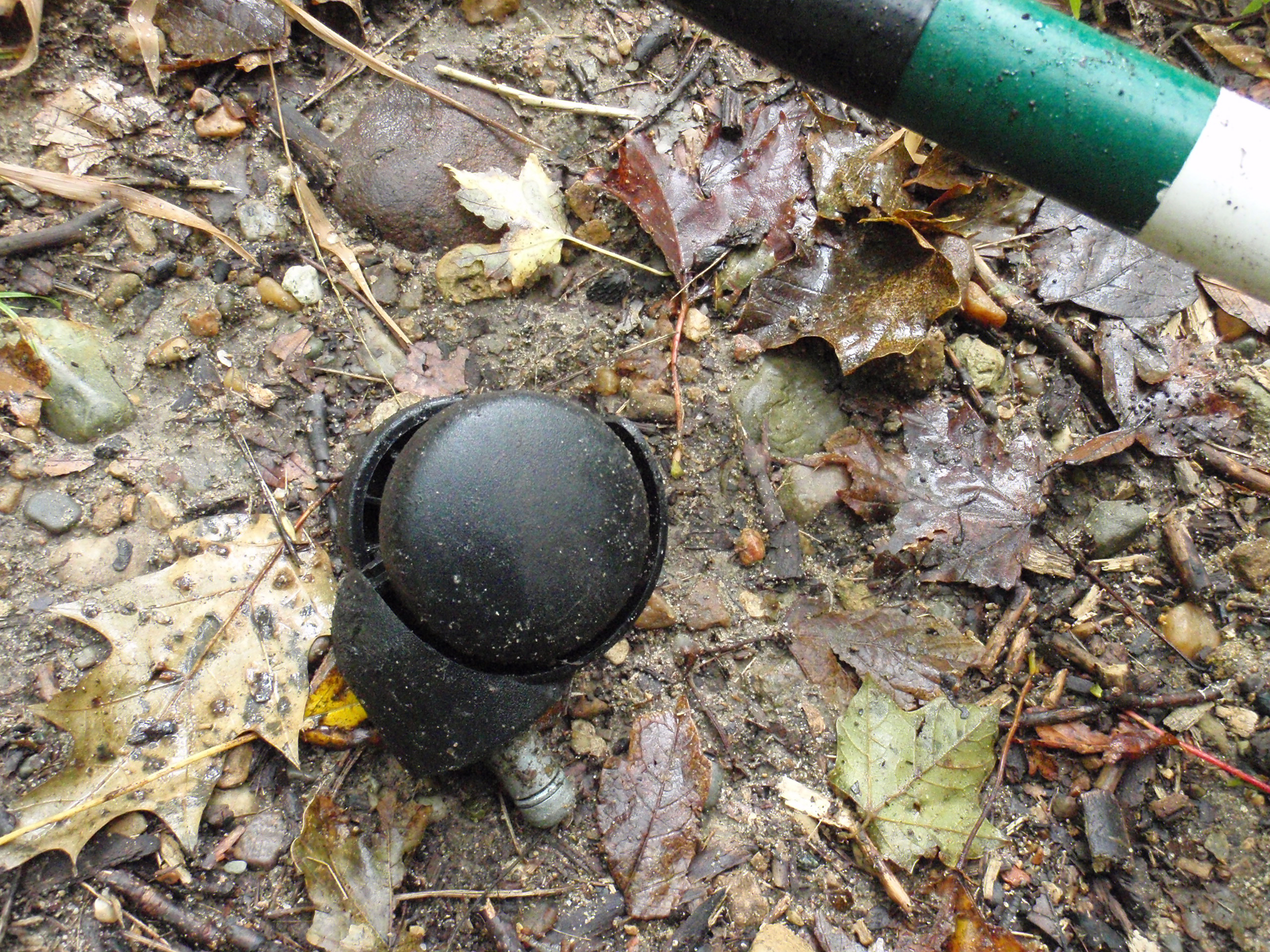 Caster found along the two track in River Bends while doing trail work.
