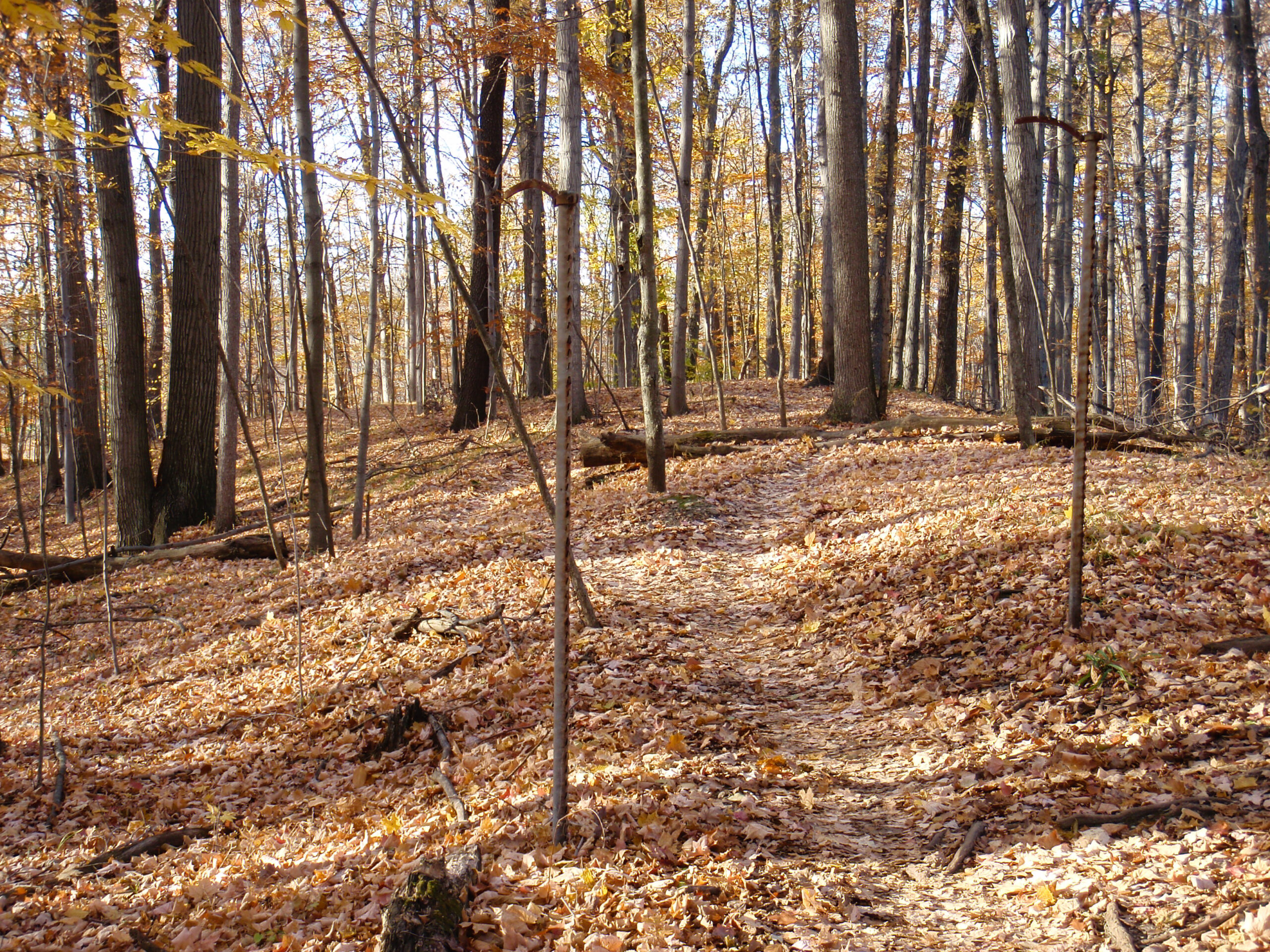 Looking down a short piece of single track, past some old fence posts, at Stony Creek on a very nice autumn day.