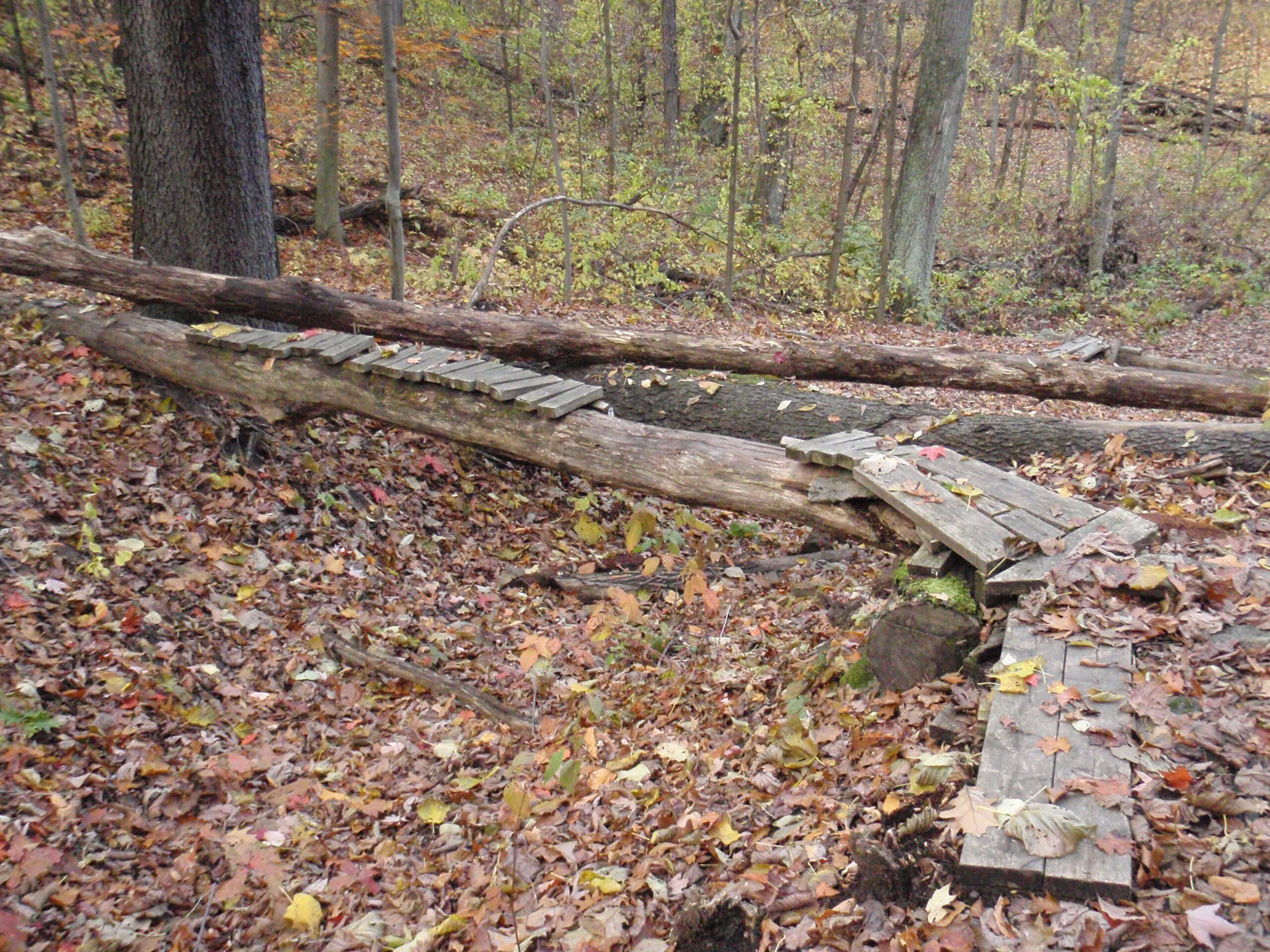 This appears to be some older bandit freeride stuff at Stony Creek.