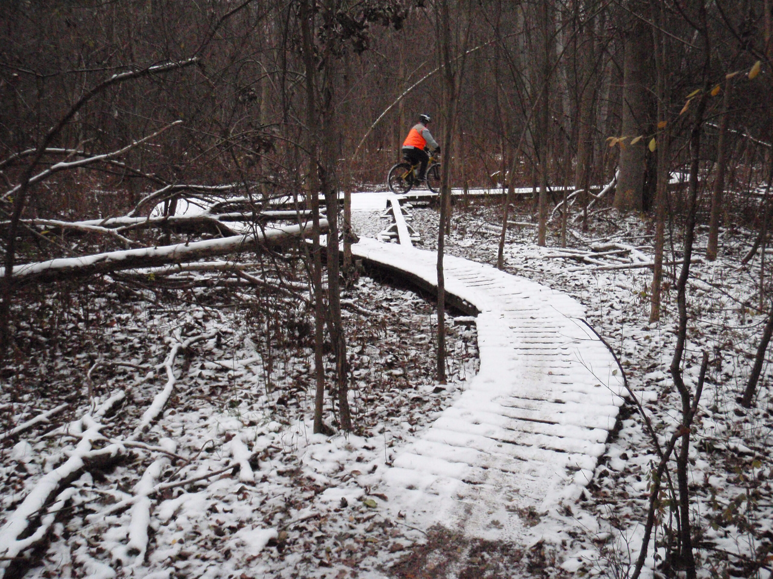 Bob riding across the S shaped bridge in The Pines at Stony Creek on a November evening.